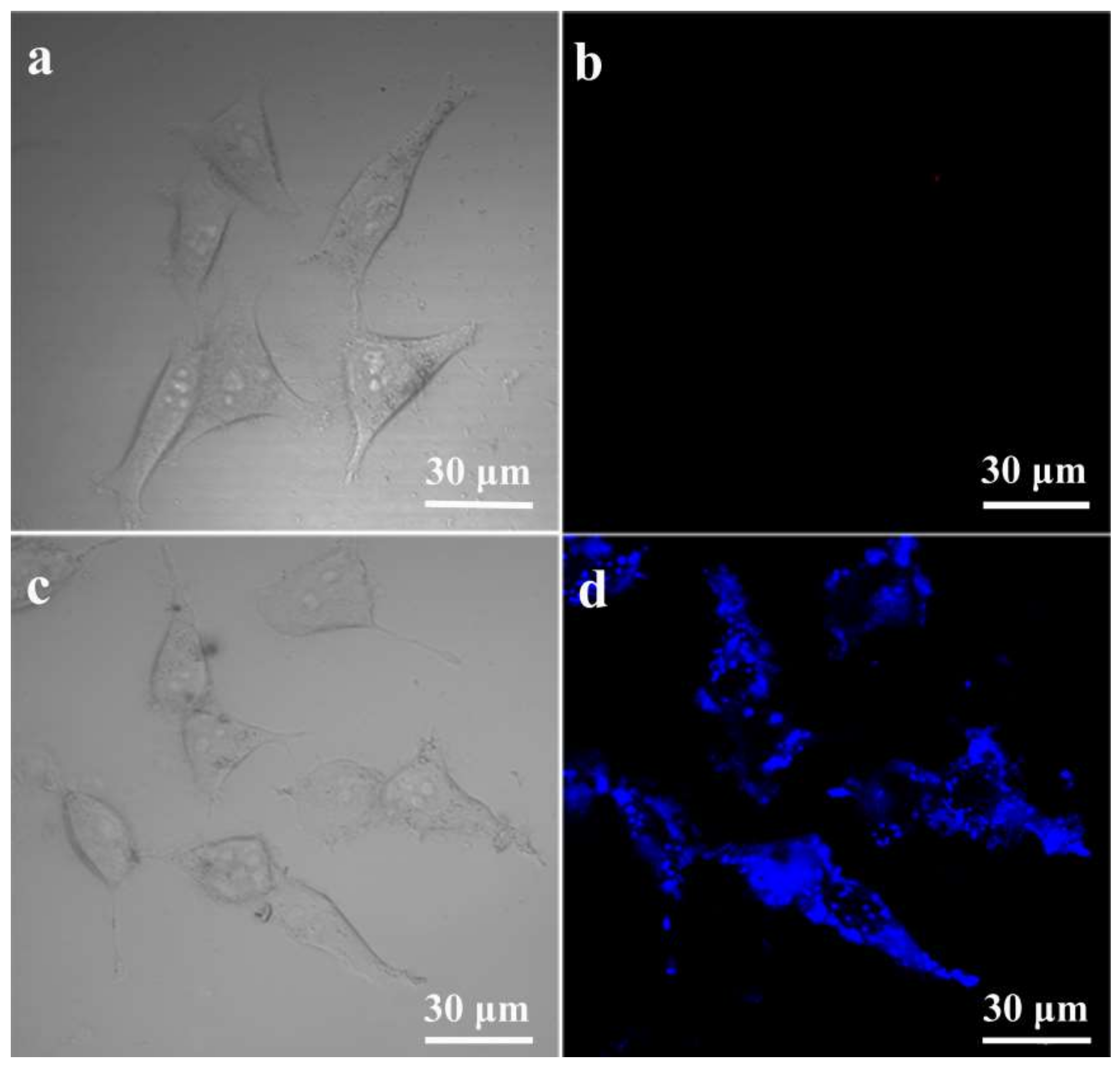Sensors 18 01163 g004