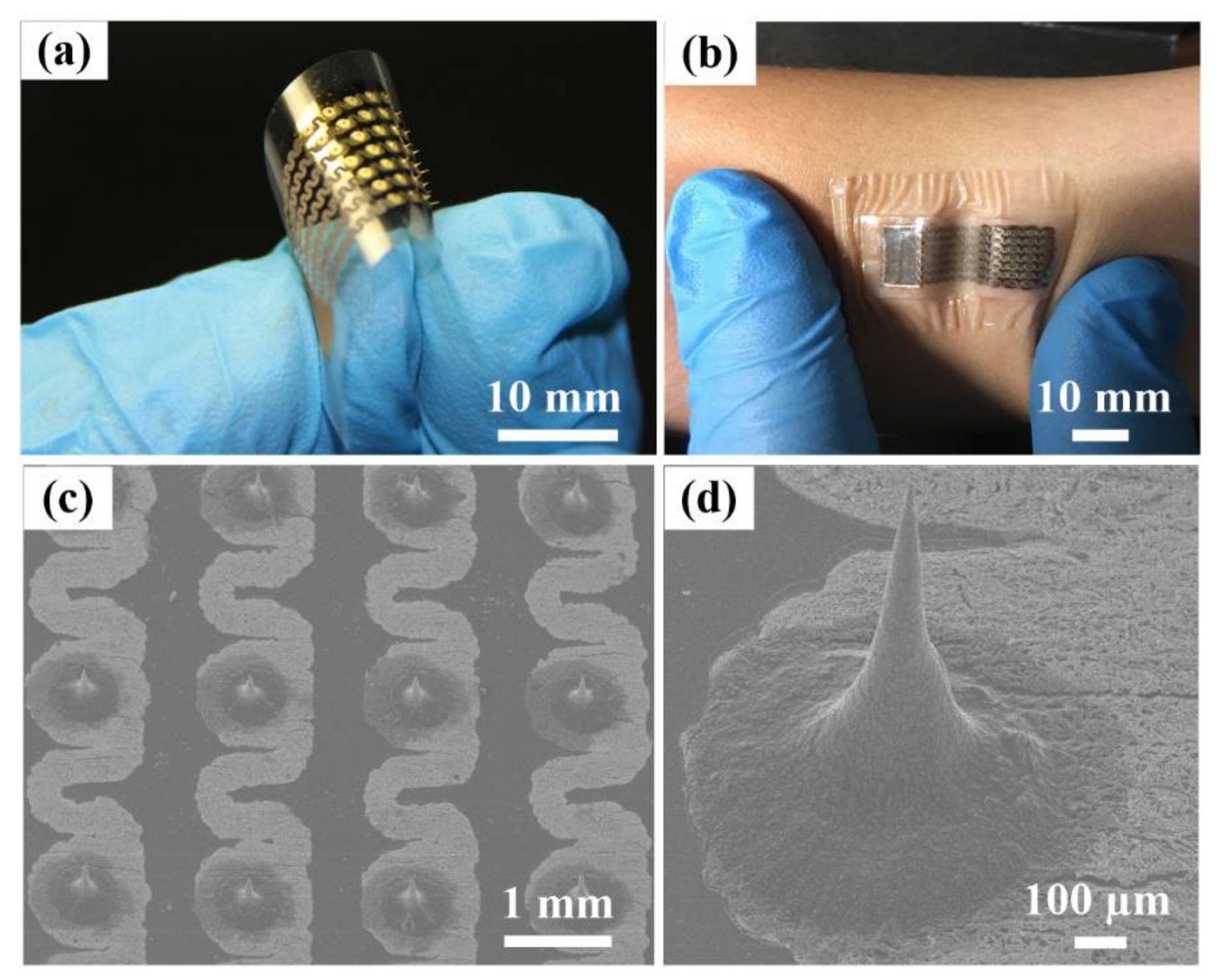 Sensors | Free Full-Text | Fabrication of Flexible Microneedle Array