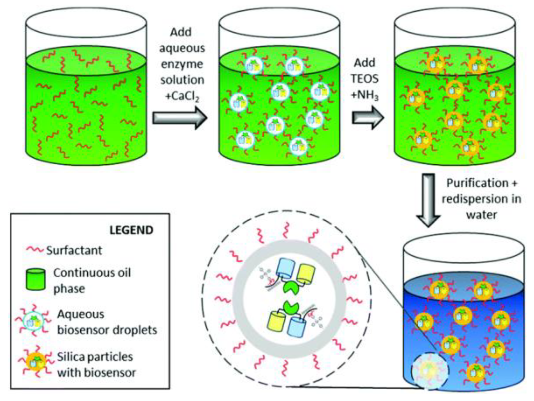 Sensors 18 01440 g003