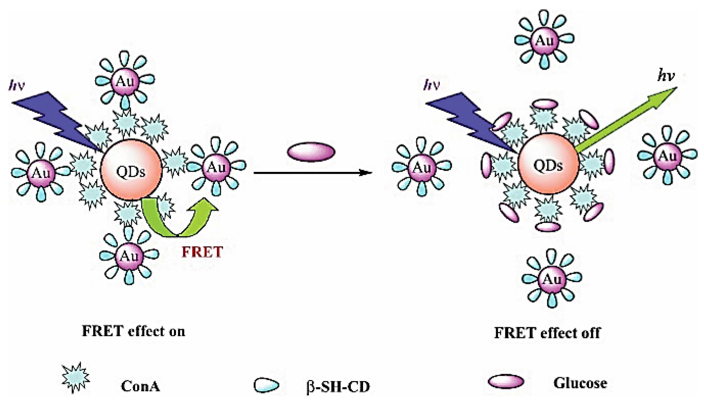 Sensors 18 01440 g005