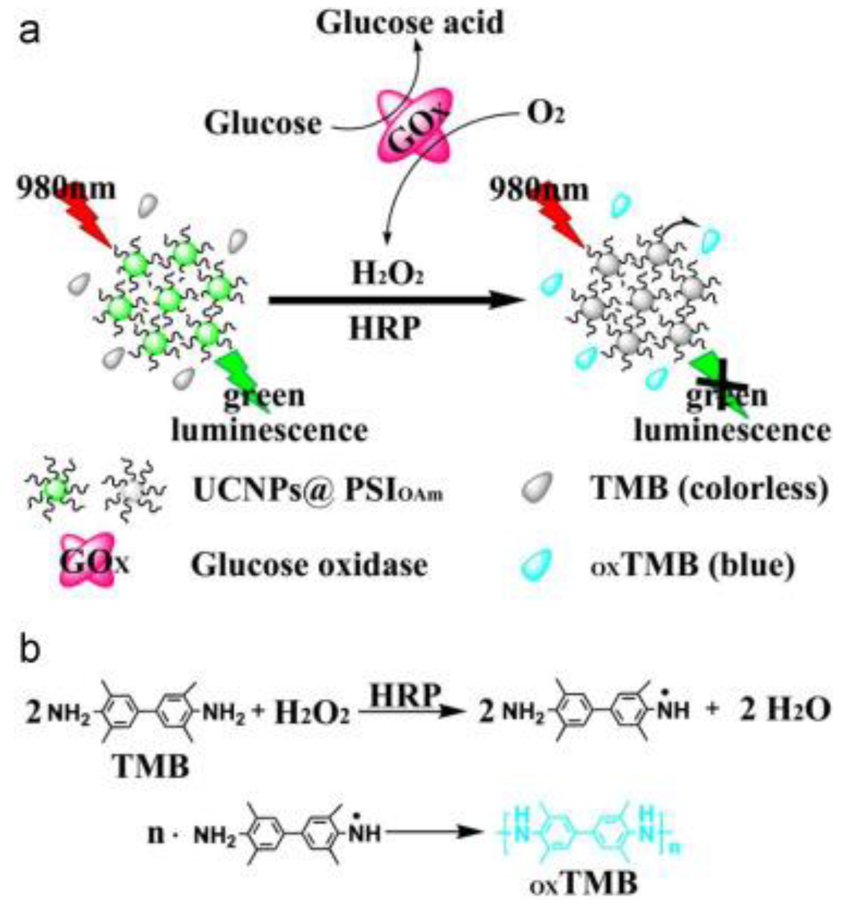 Sensors 18 01440 g012