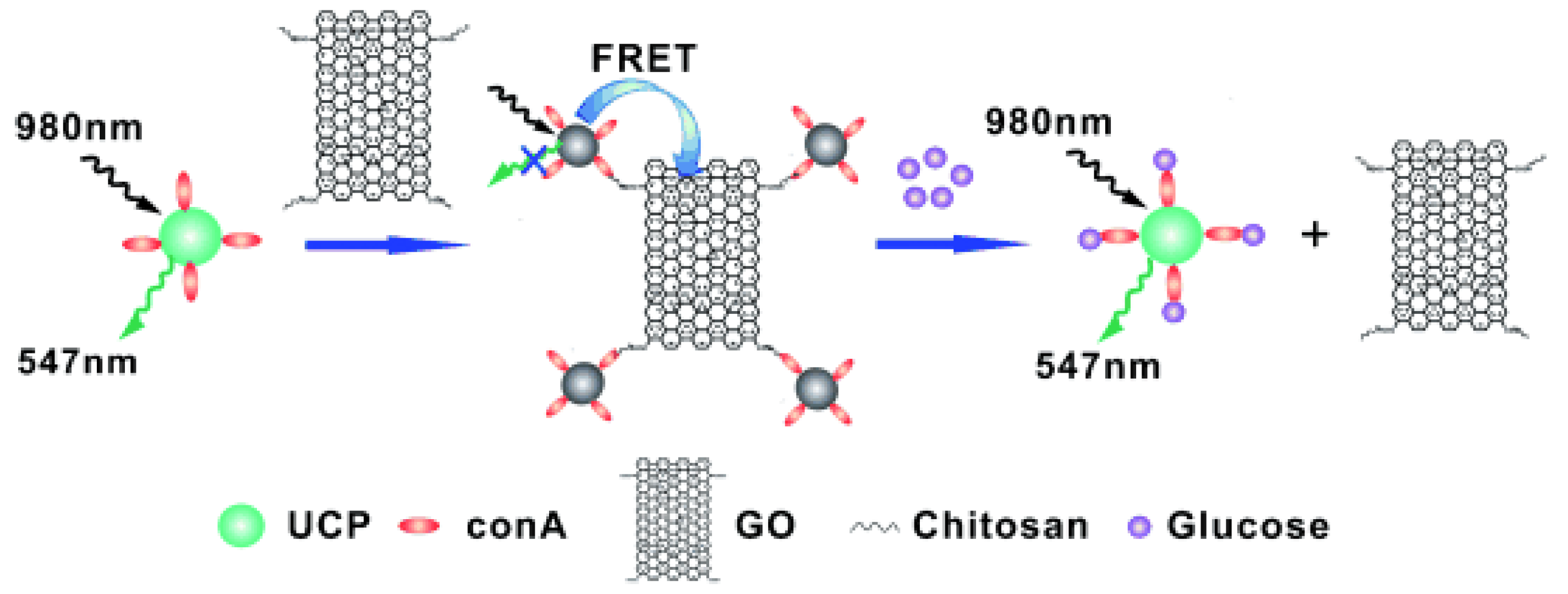 Sensors 18 01440 g013
