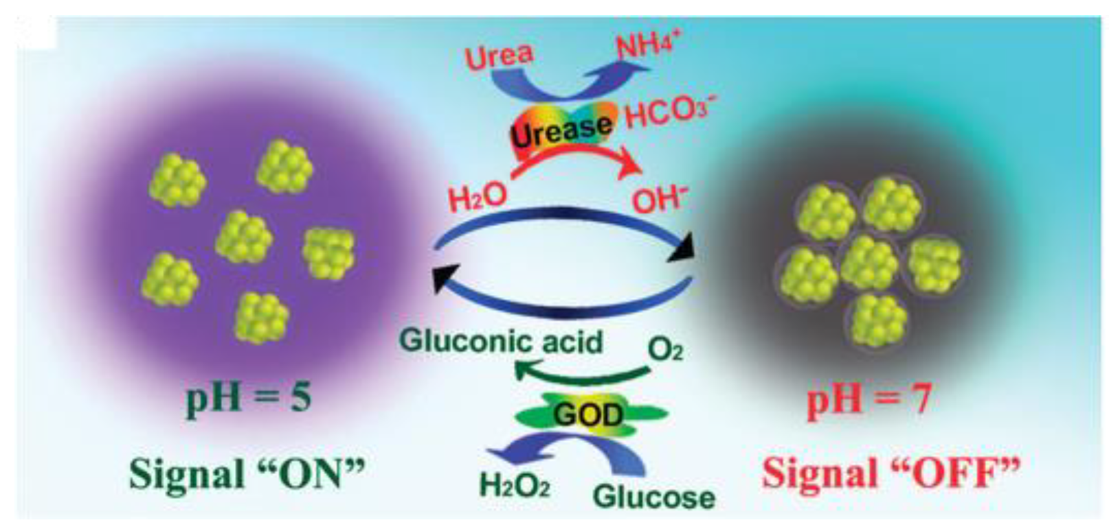 Sensors 18 01440 g014