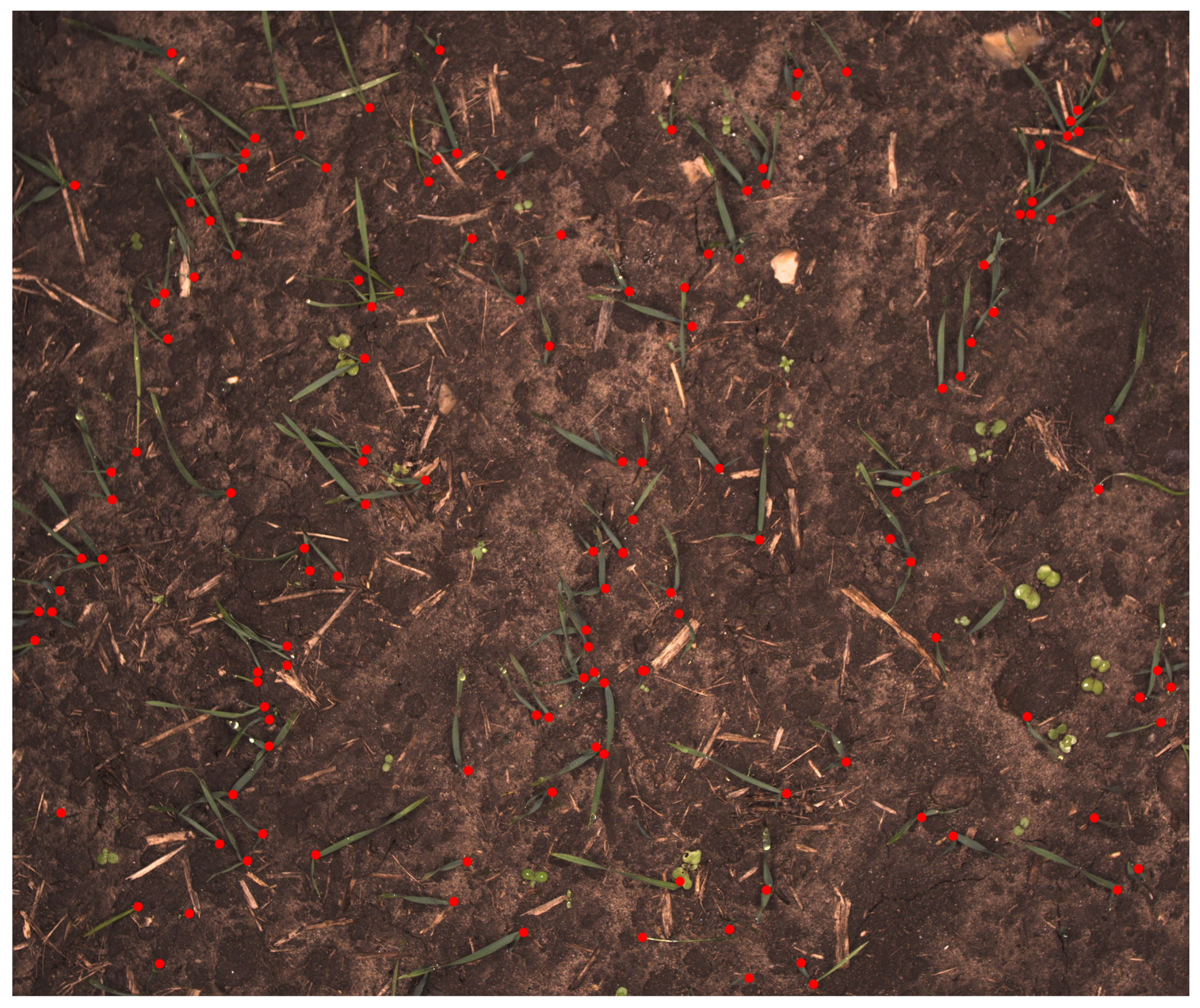 Sensors 18 01611 g003 Sensors 18 01611 g003