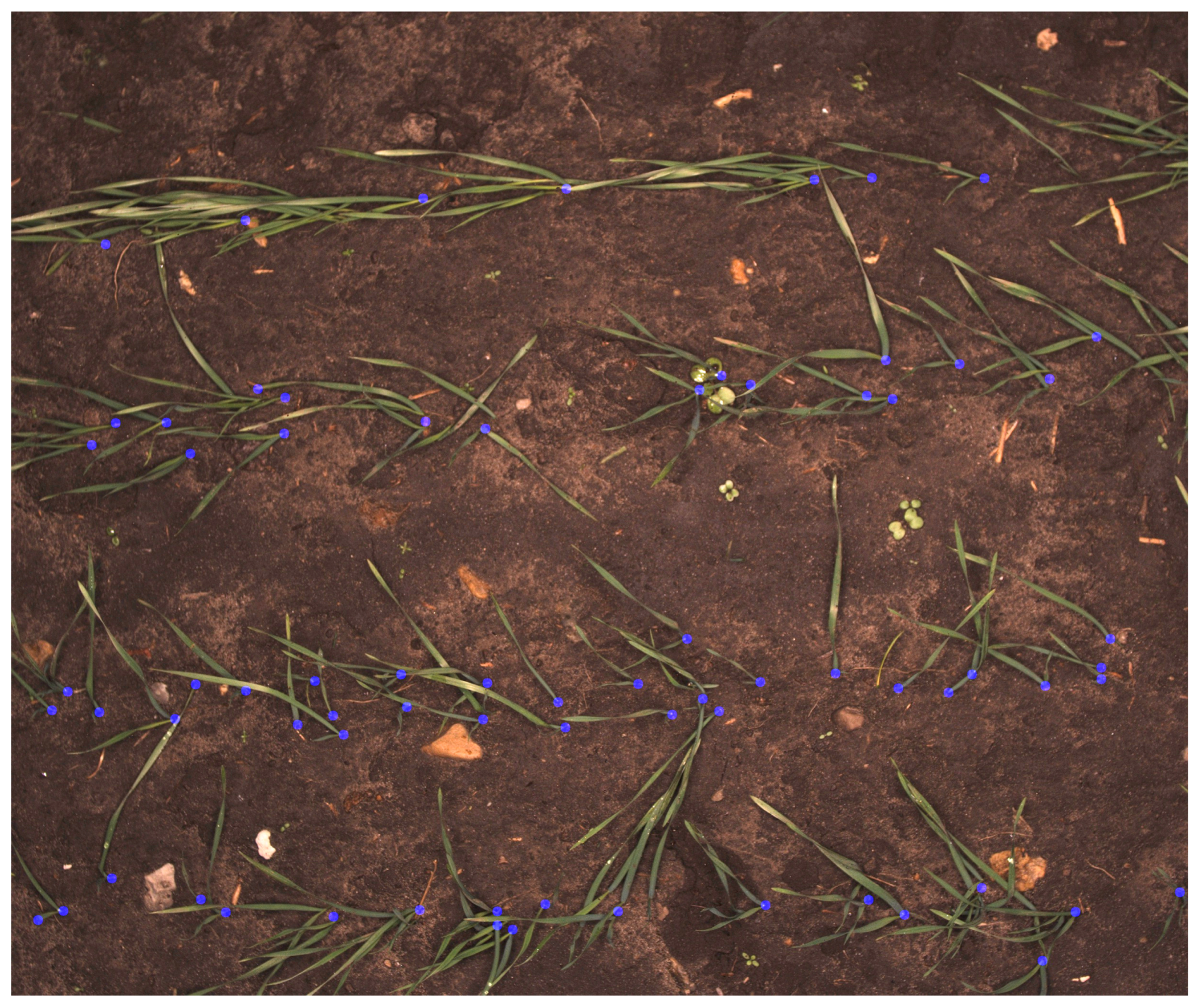 Sensors 18 01611 g007 Sensors 18 01611 g007