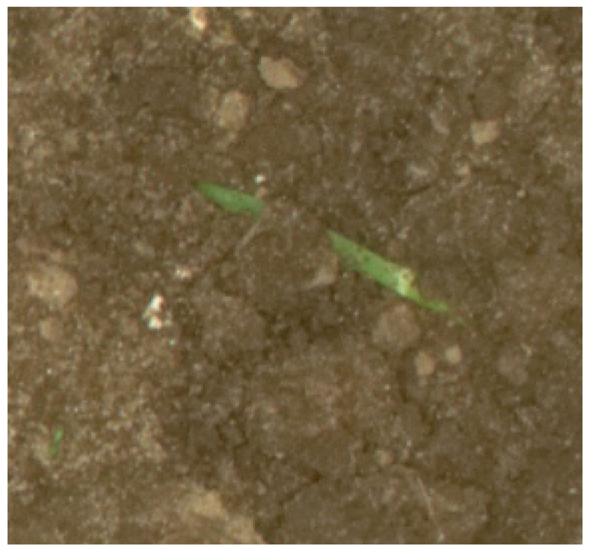 Sensors 18 01611 g014 Sensors 18 01611 g014