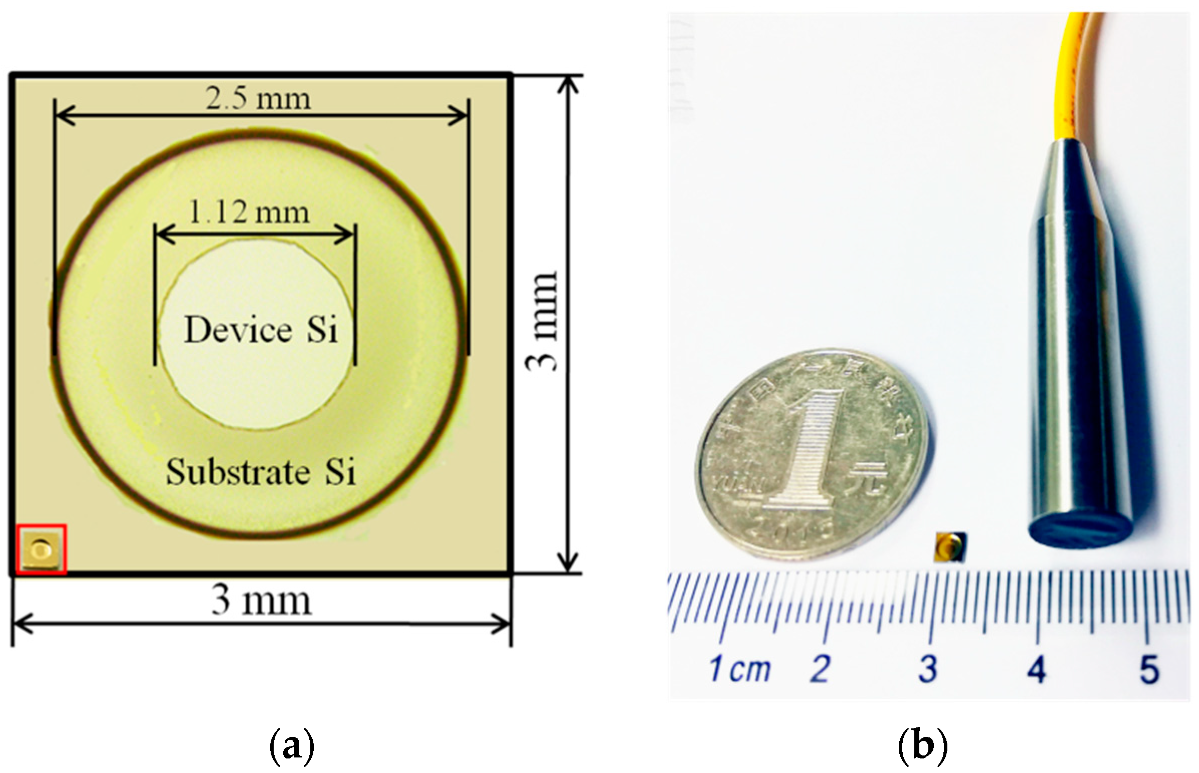 Sensors 18 01975 g004