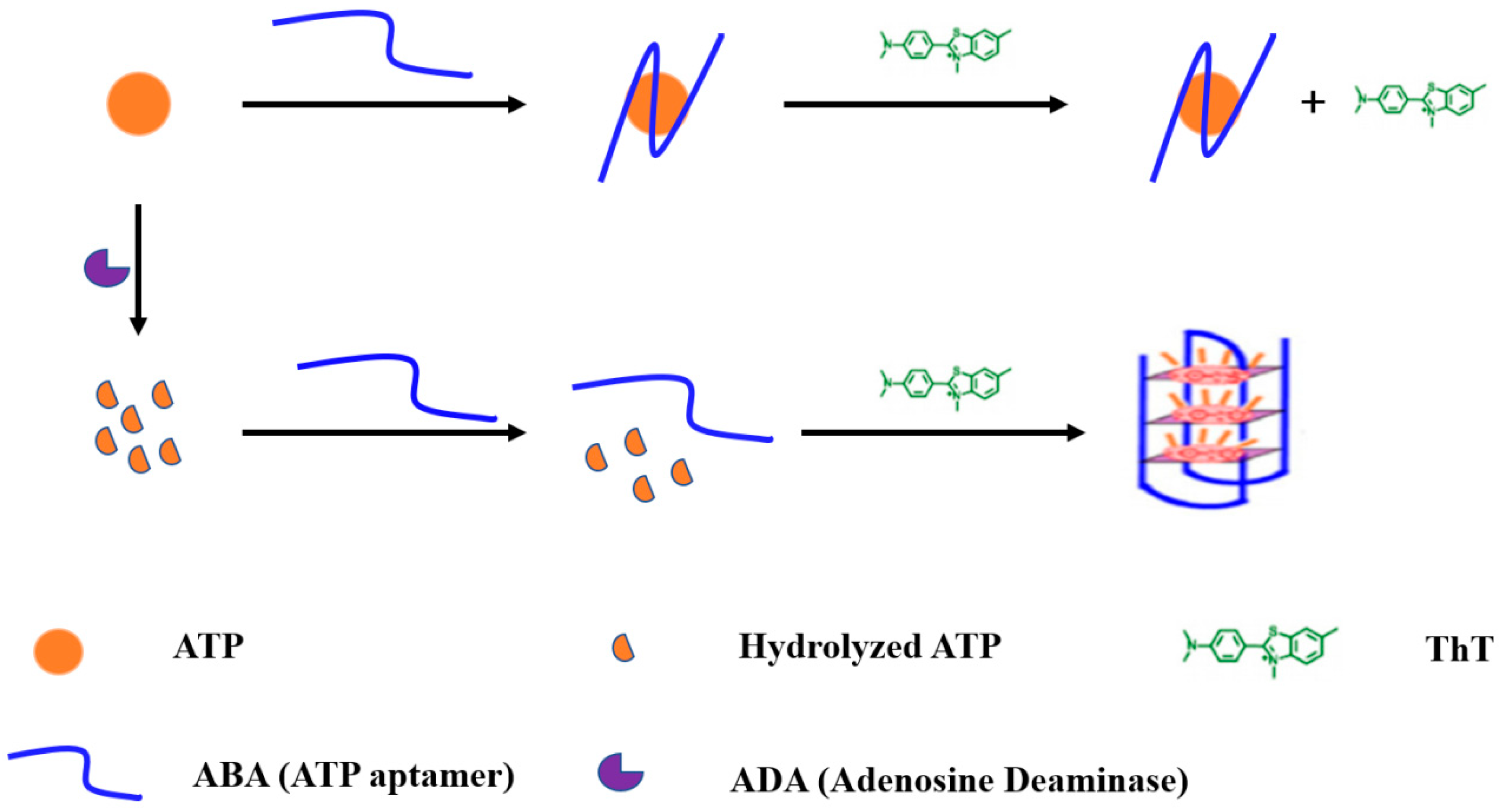 Sensors 18 02441 g001
