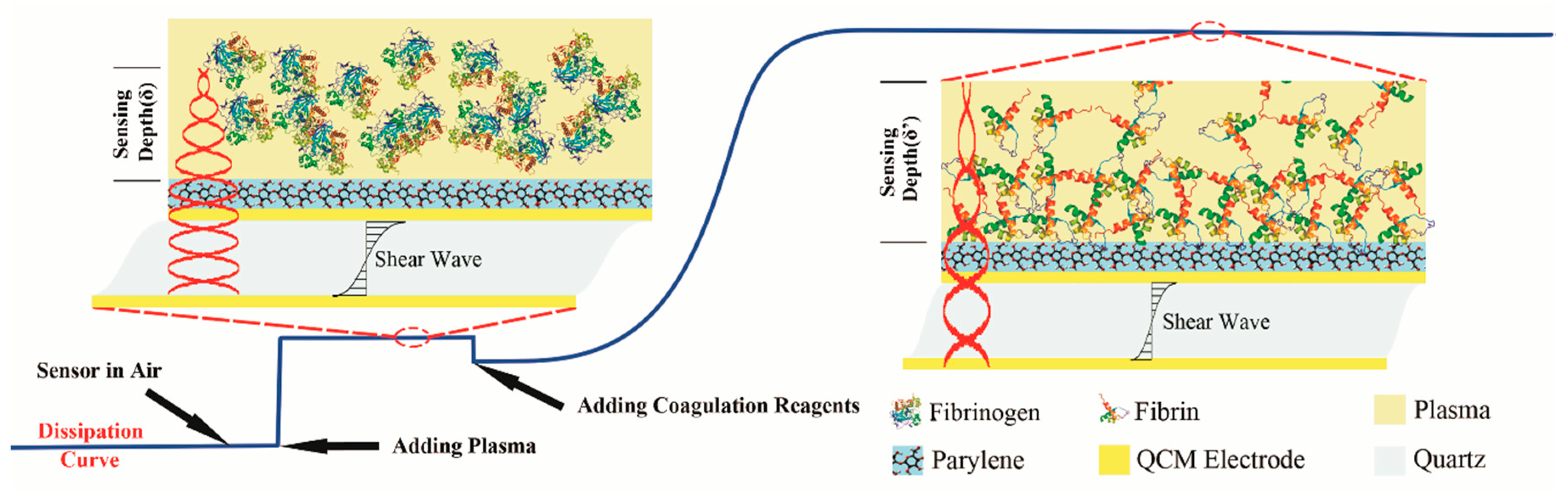 Sensors 18 03073 g002 Sensors 18 03073 g002