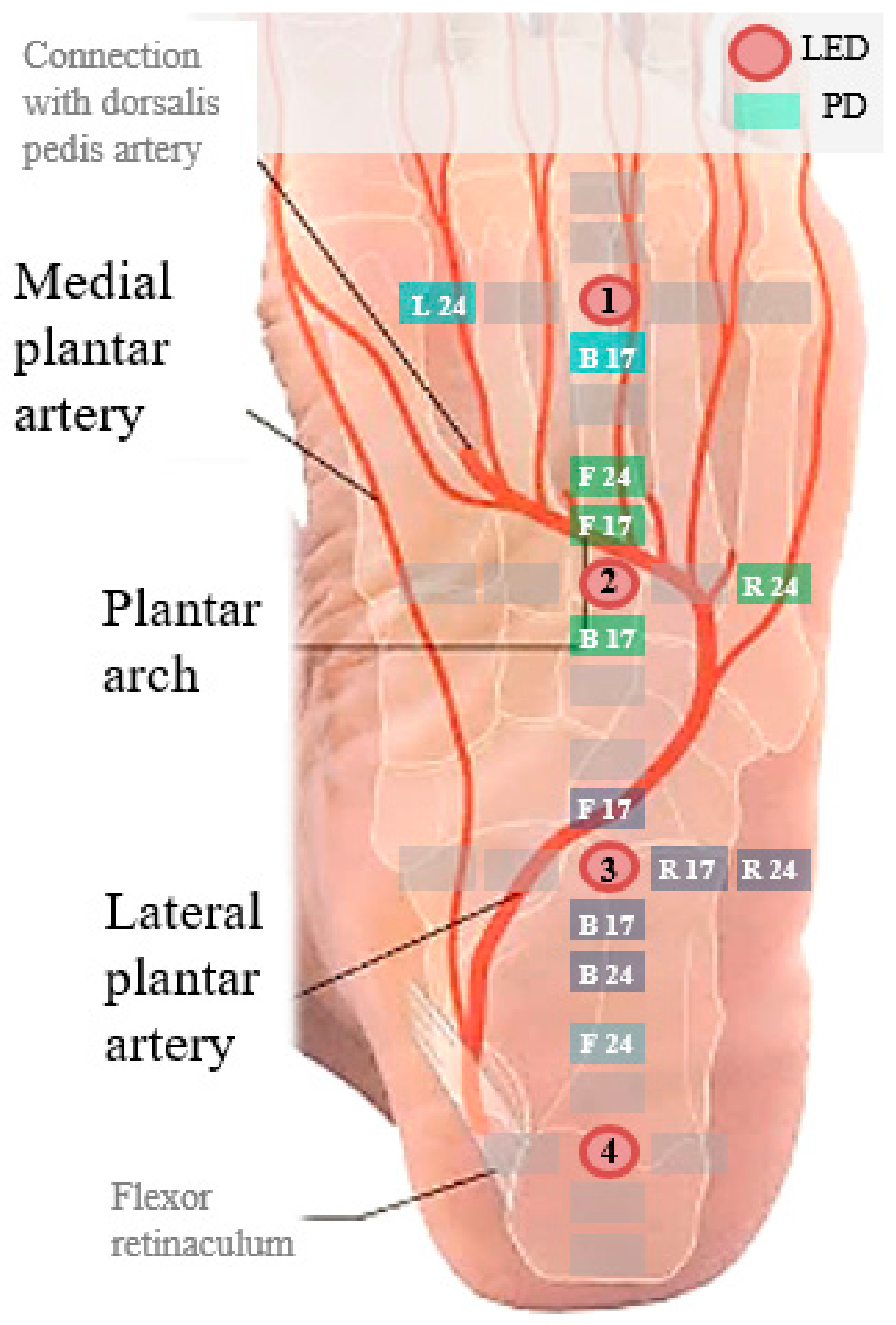 Sensors 18 03239 g007