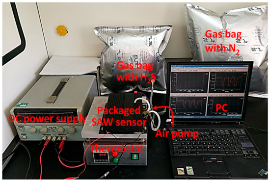 Sensors | Special Issue : Surface Acoustic Wave Sensors