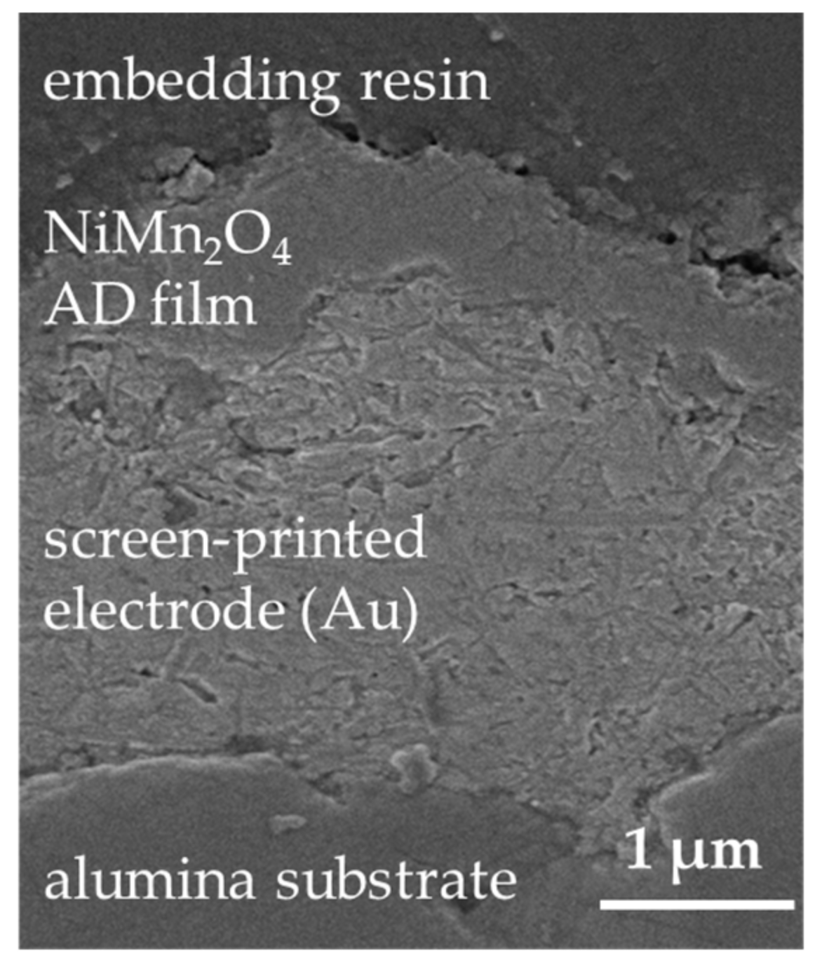Sensors 18 03982 g005
