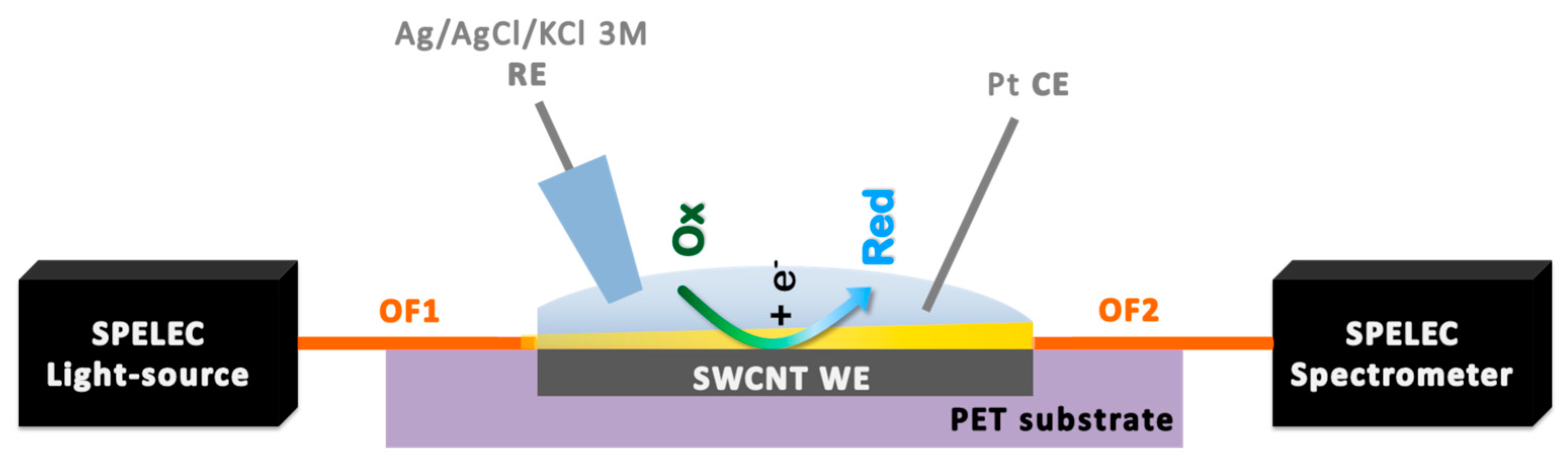 Sensors 19 00518 g001