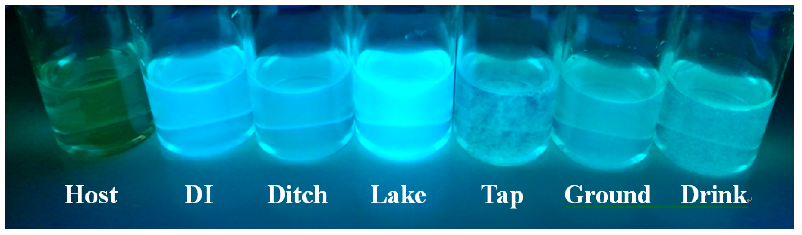 Sensors 19 00623 g005