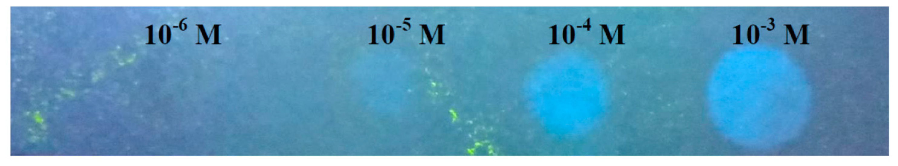 Sensors 19 00623 g006