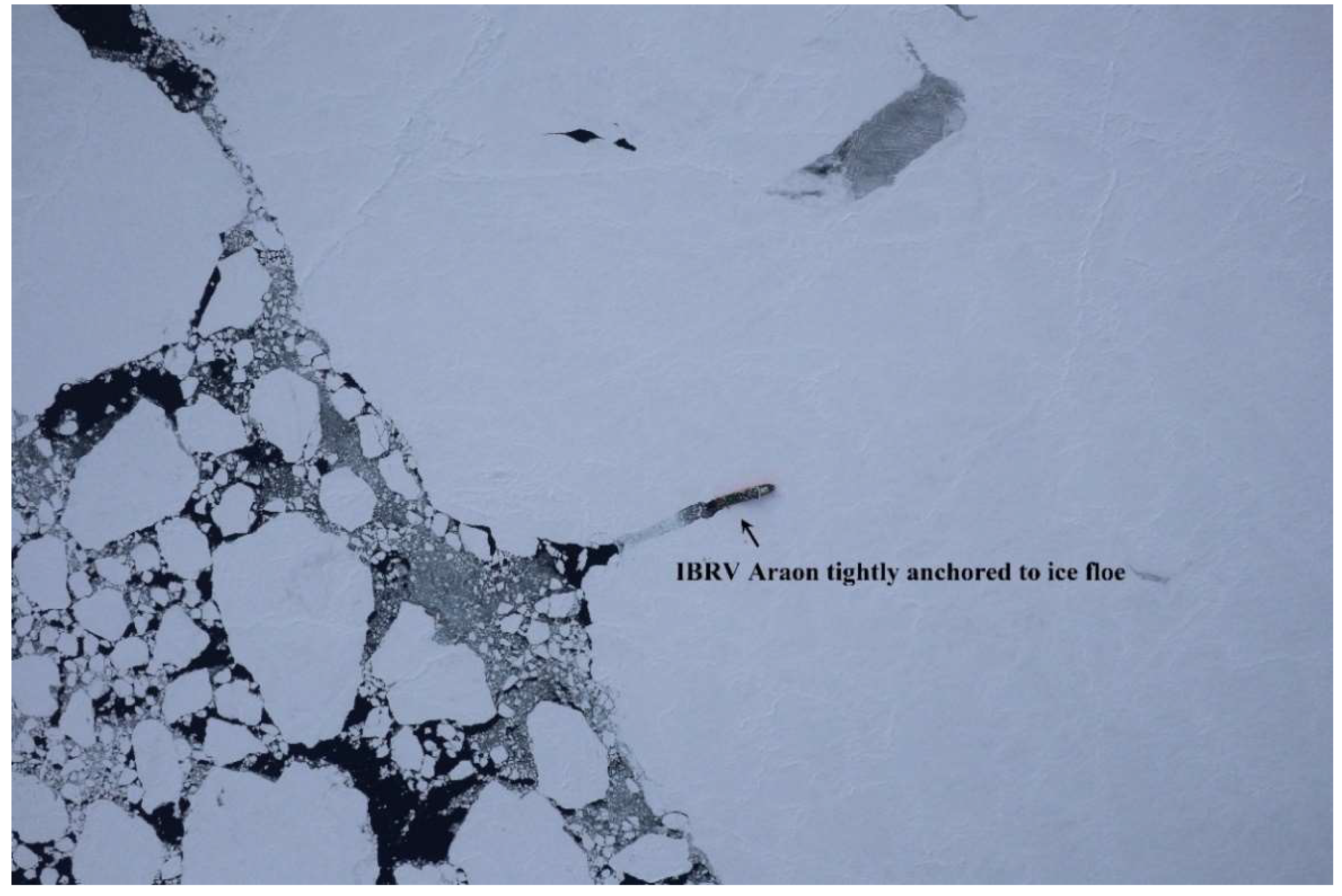 Sensors 19 01251 g002