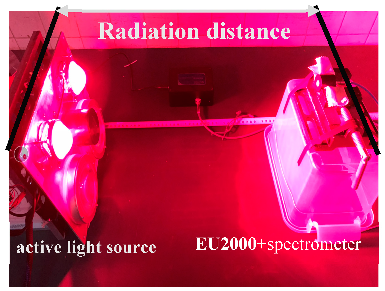 Sensors 19 01859 g005