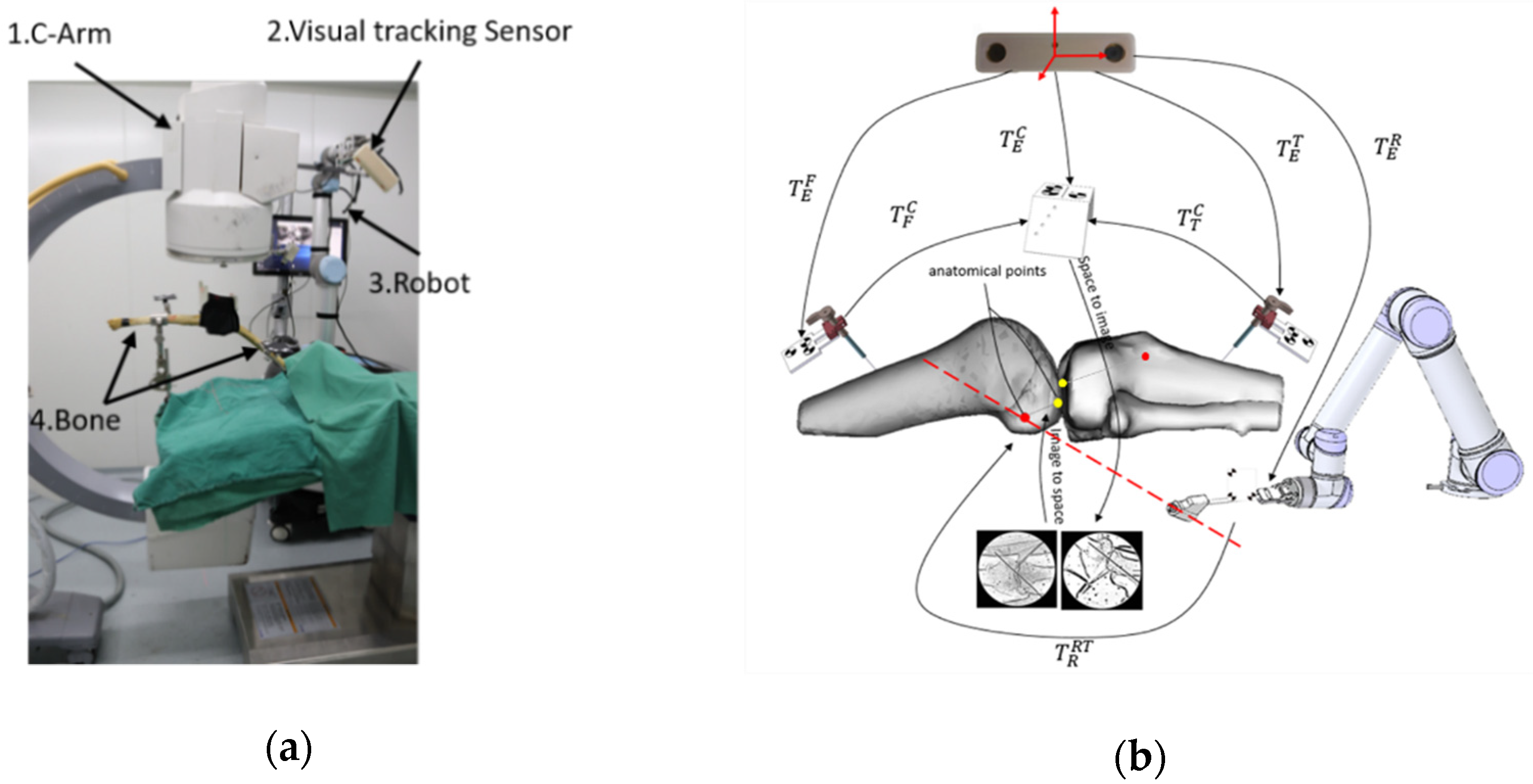 Sensors 19 01989 g015