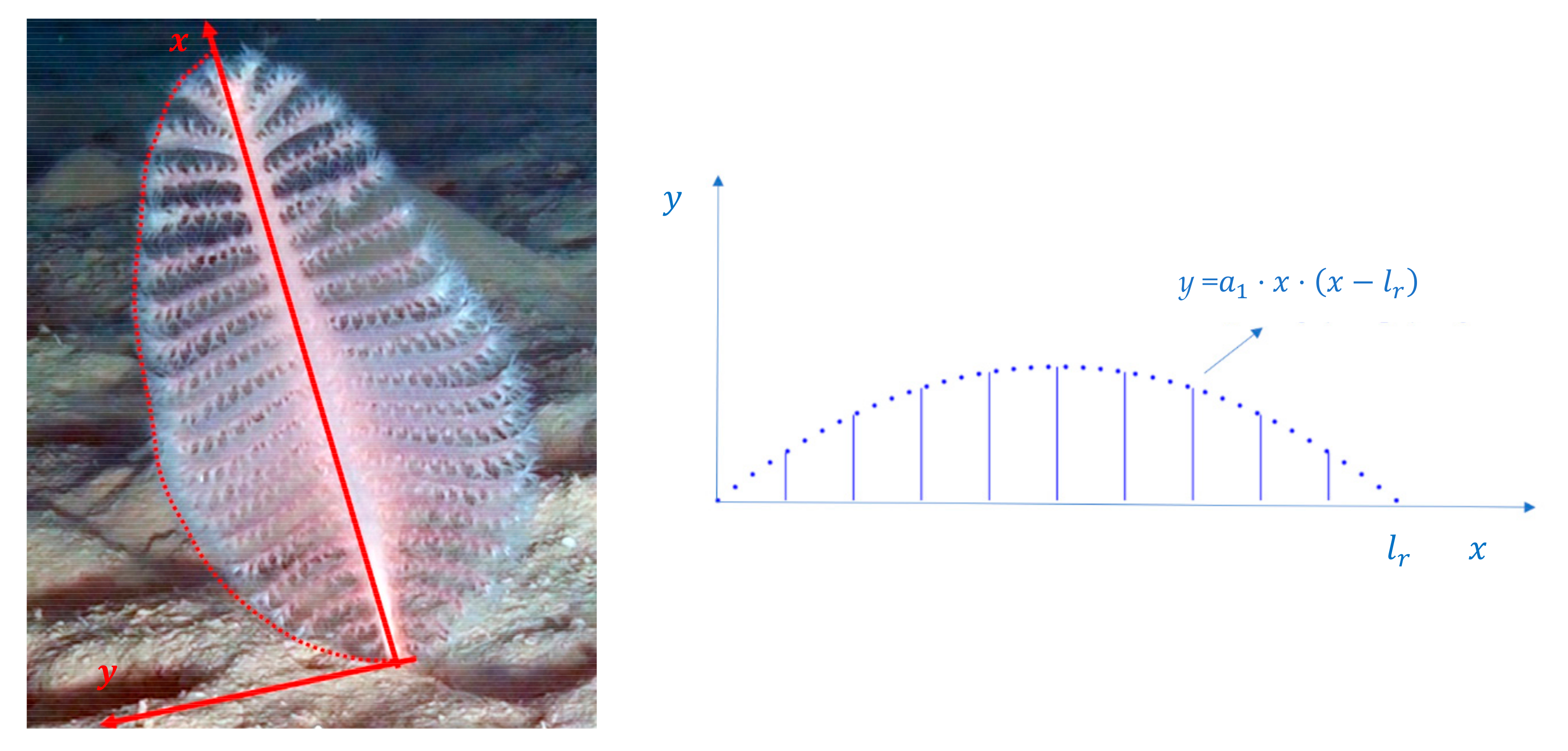 Sensors 19 02255 g004