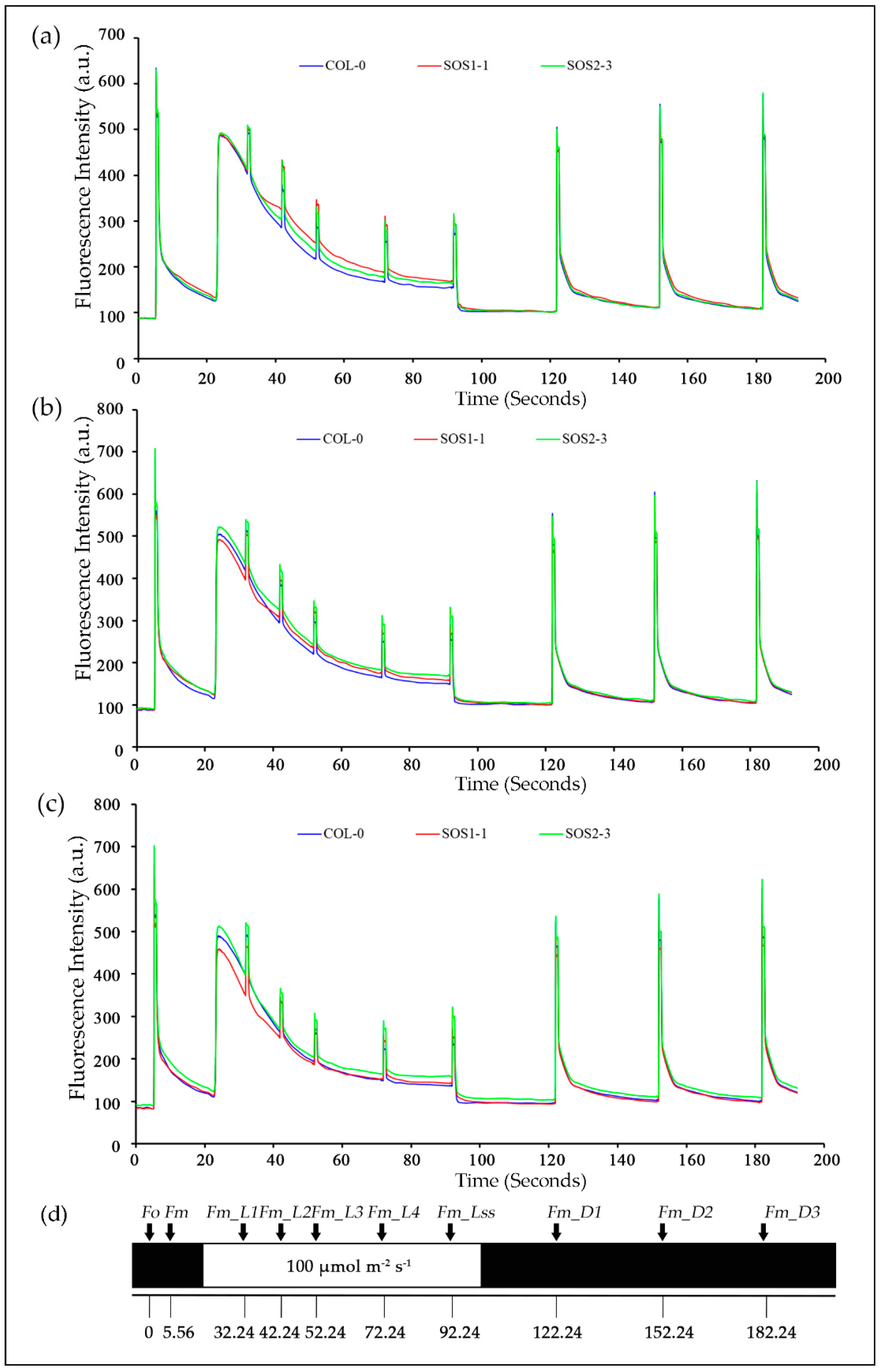 Sensors 19 02649 g004