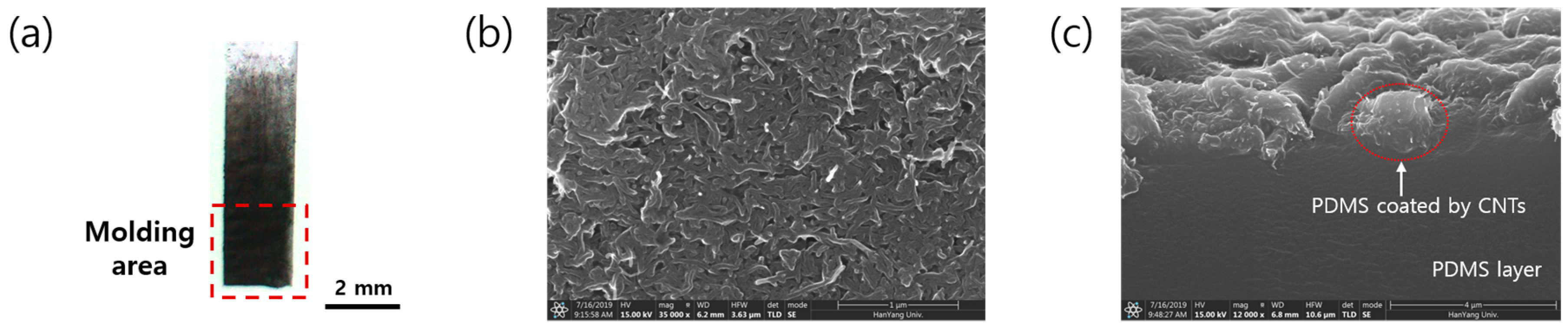 Sensors 19 03877 g003