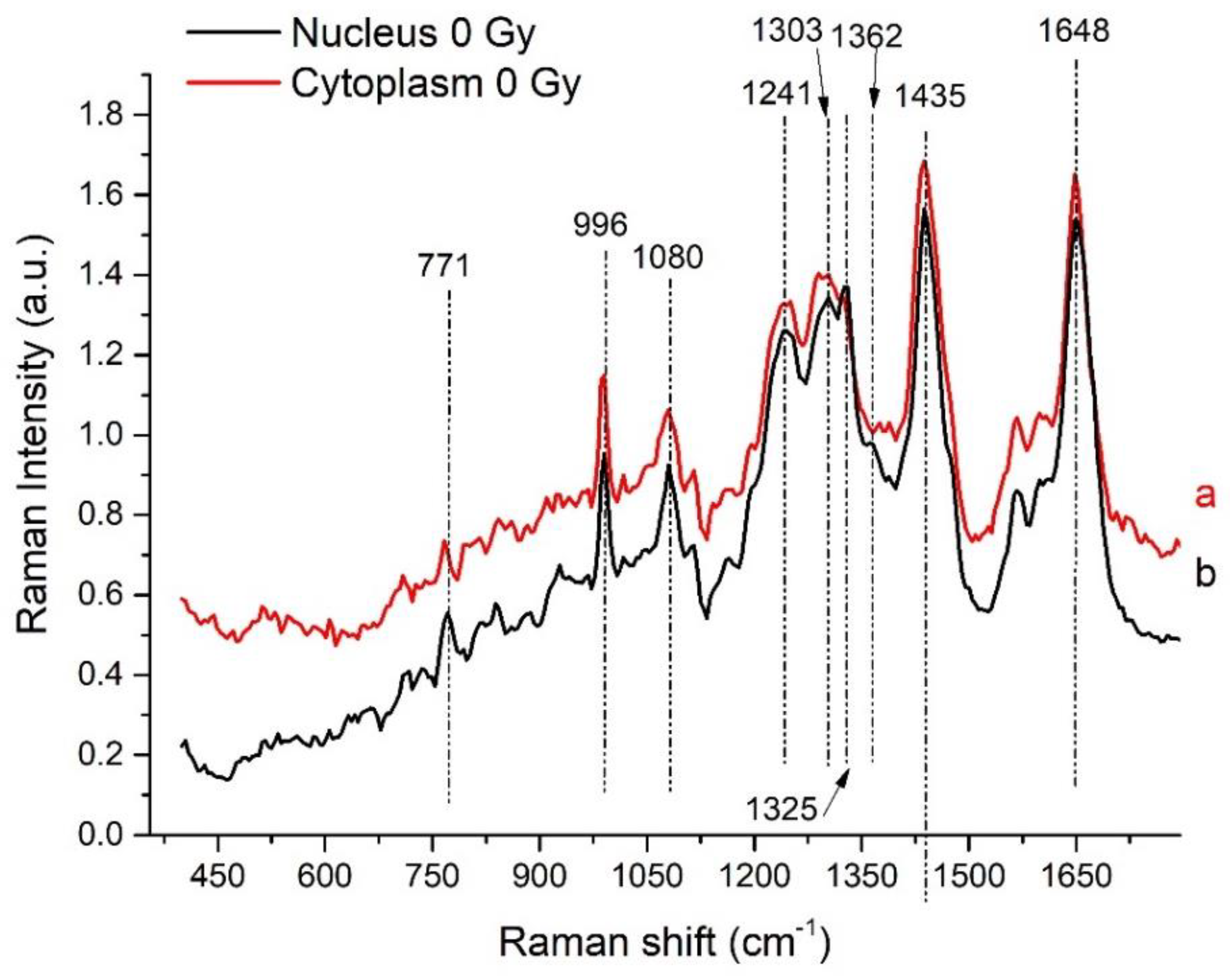 Sensors 19 03971 g001 Sensors 19 03971 g001