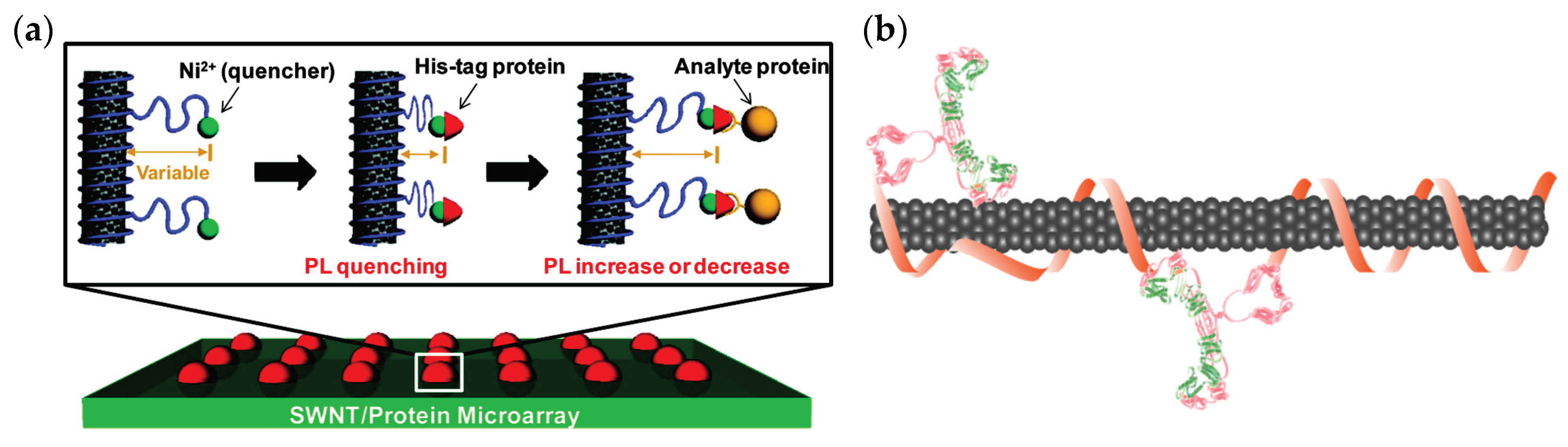 Sensors 19 05403 g002