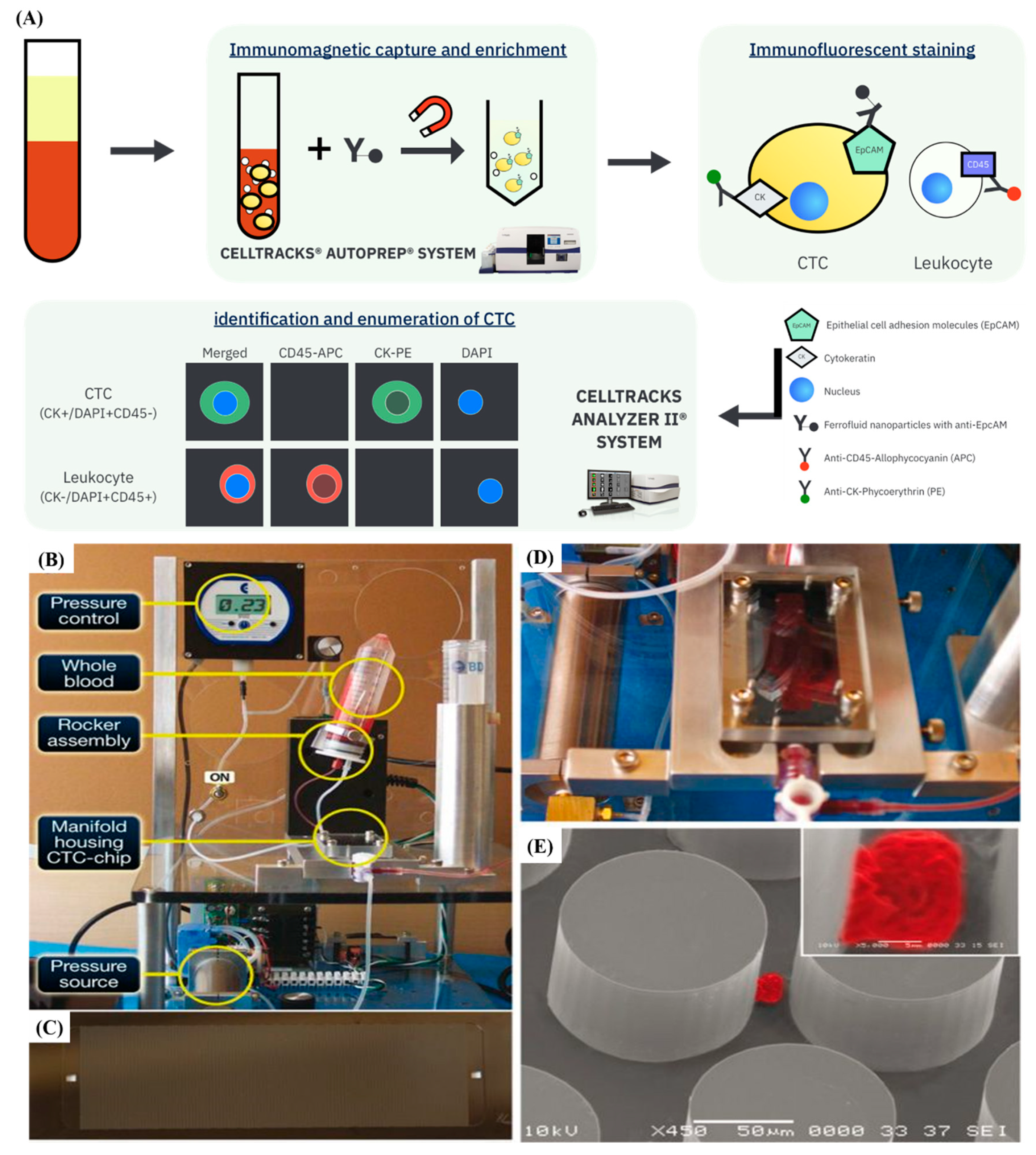 Sensors 20 01875 g003 Sensors 20 01875 g003