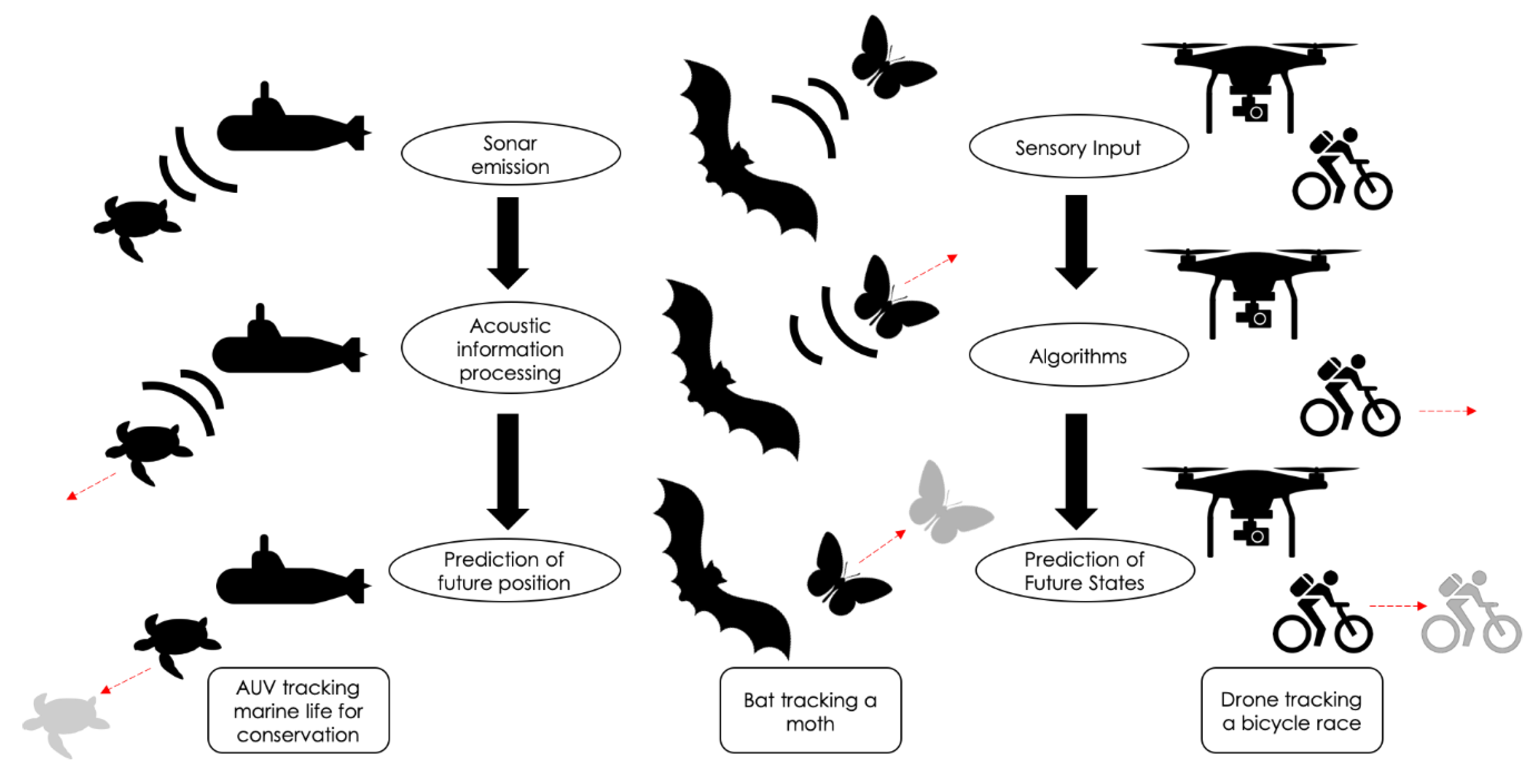 Sensors 20 02958 g004 Sensors 20 02958 g004