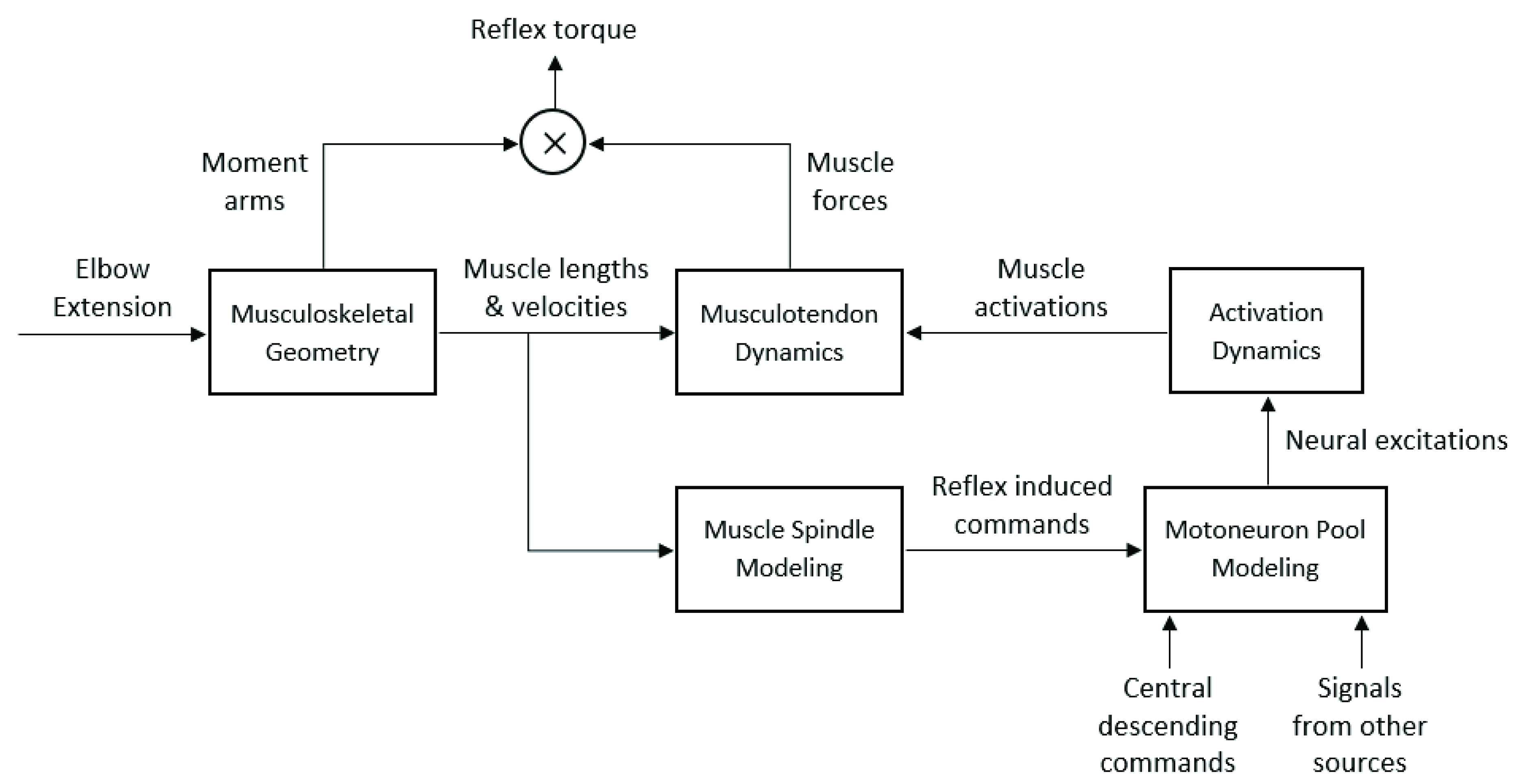 Sensors 20 05046 g003