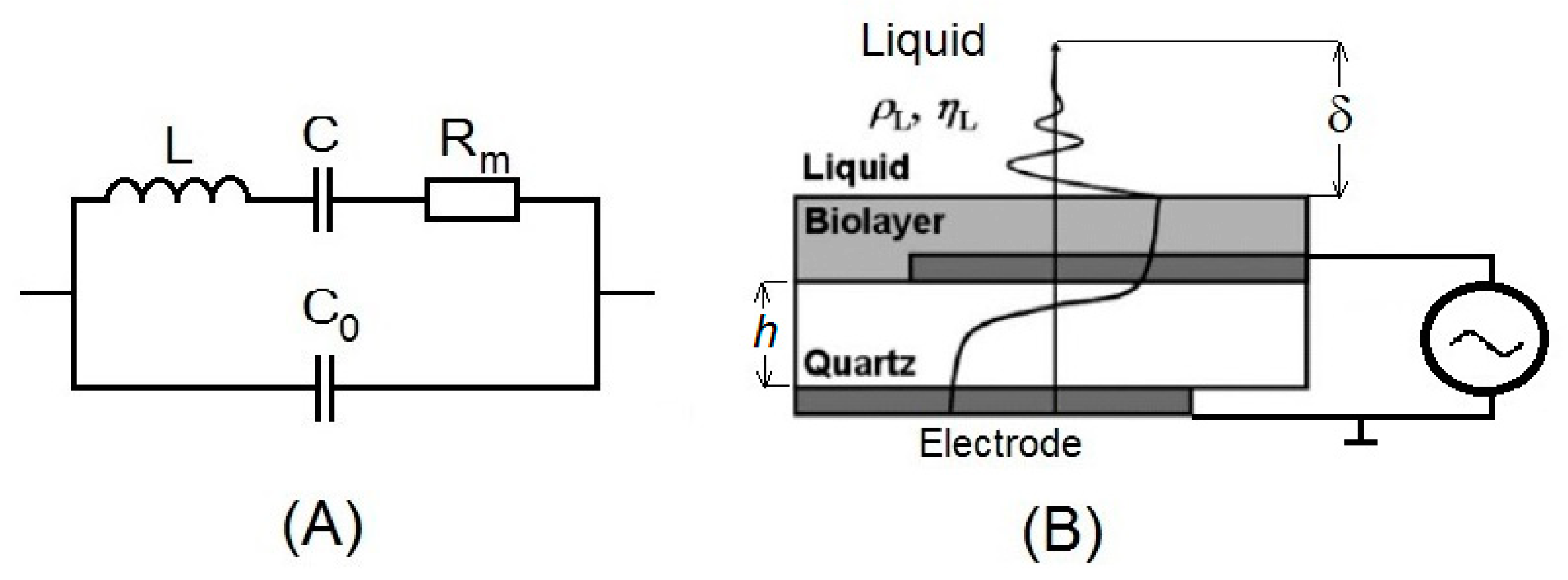 Sensors 20 05594 g003