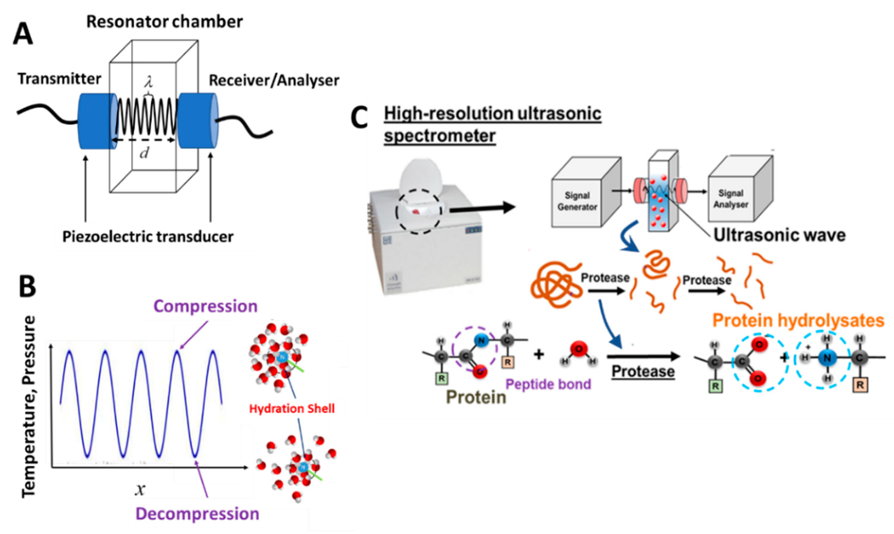Sensors 20 05594 g008