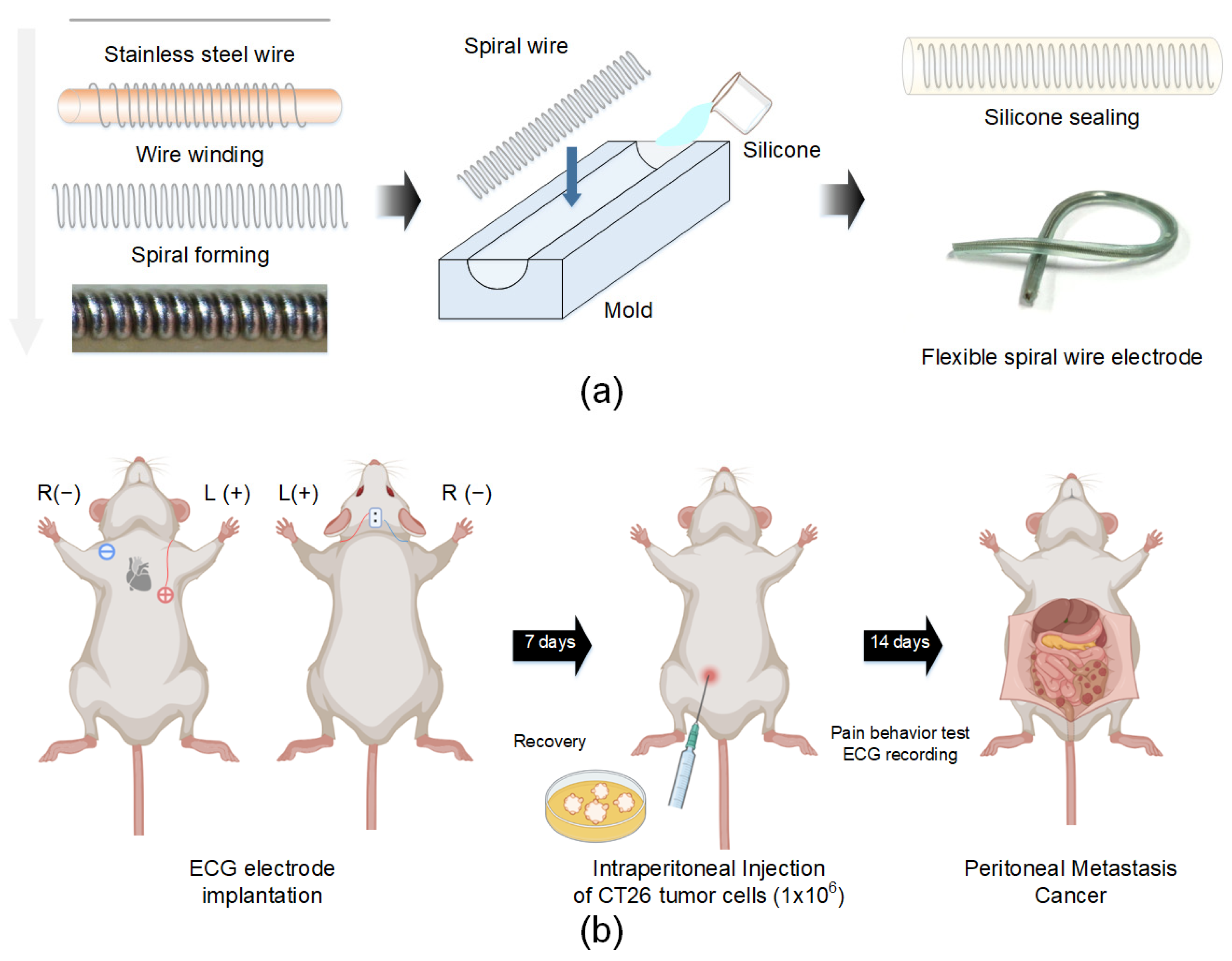 Sensors 22 02152 g001