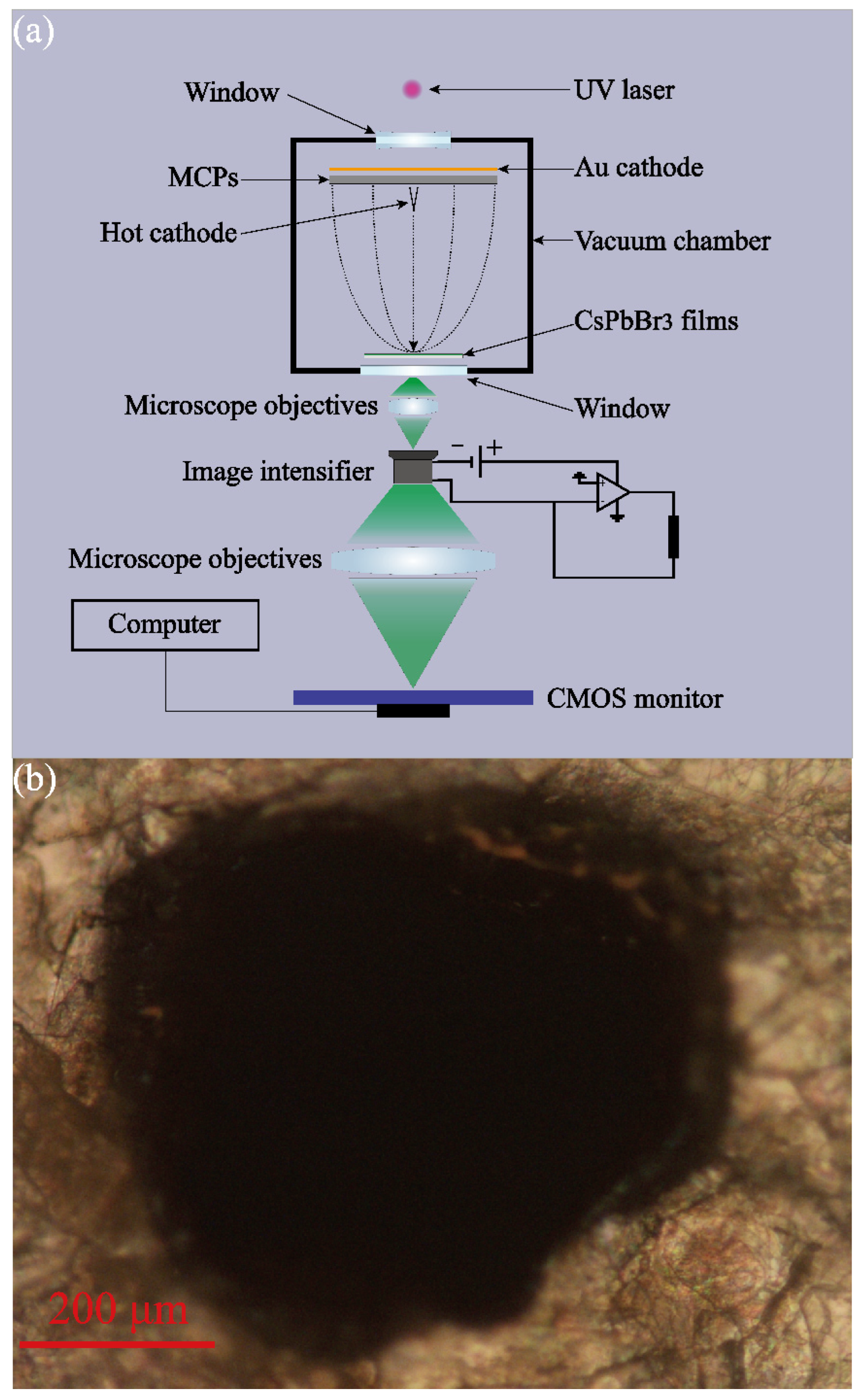 Sensors 22 03721 g006