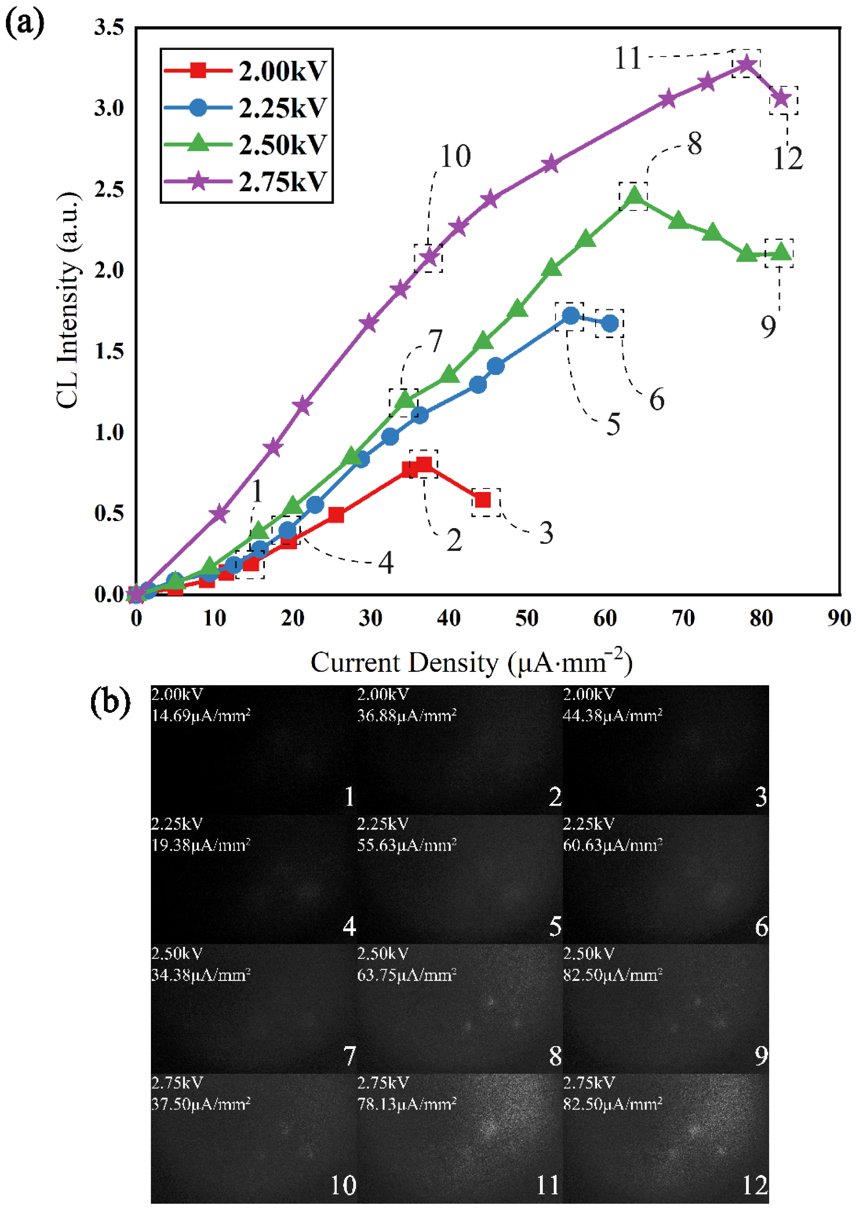 Sensors 22 03721 g007
