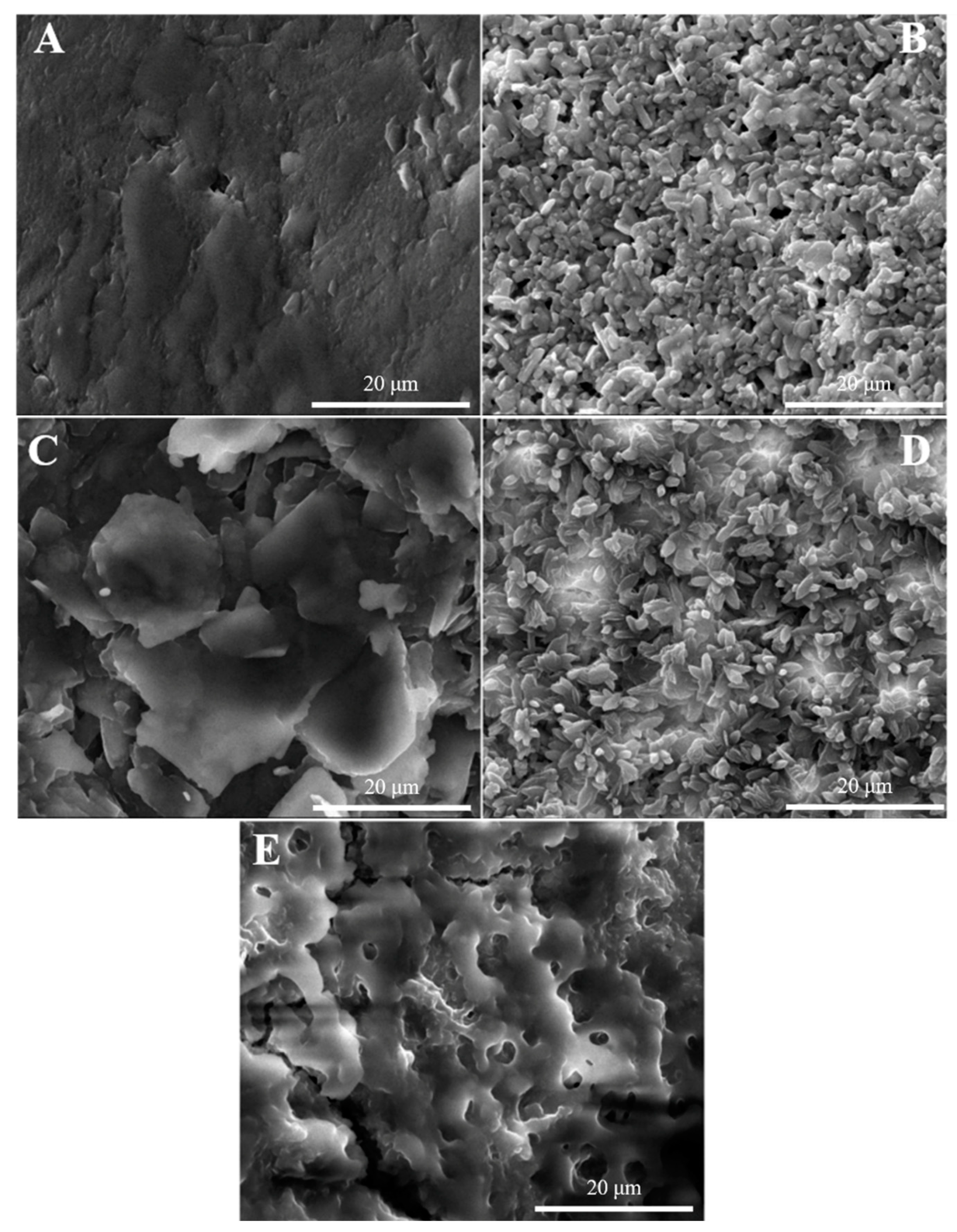 Sensors 22 04410 g004