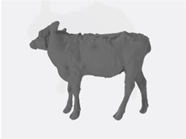 Sensors 22 04635 i003