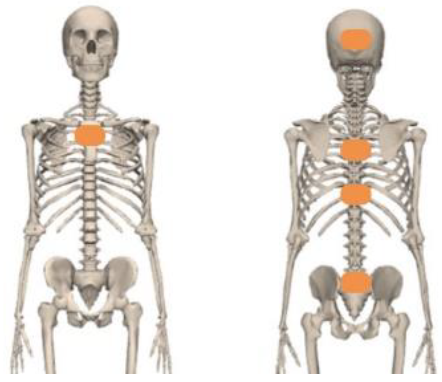 Sensors 23 06974 g001