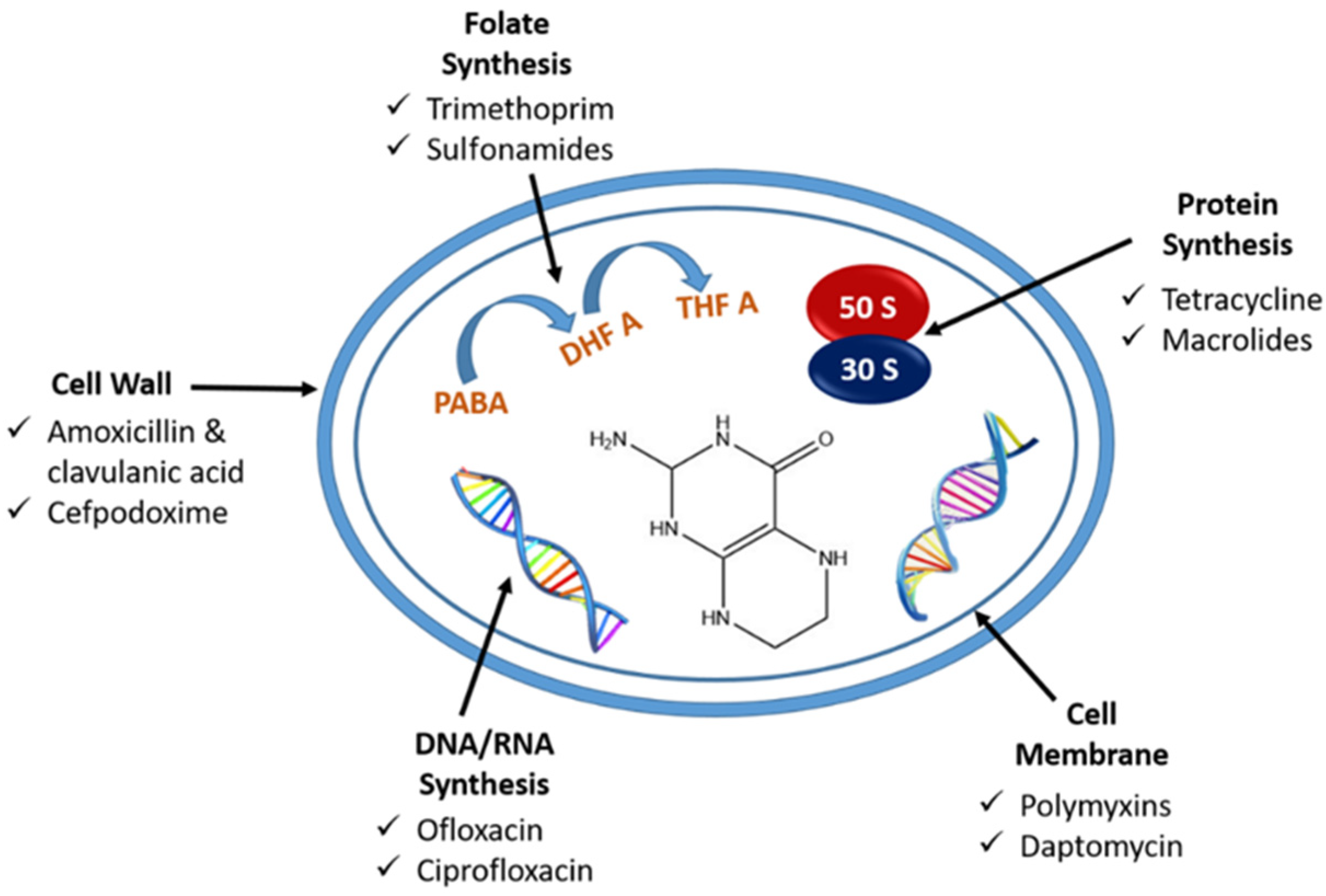 Sensors 23 09314 g001