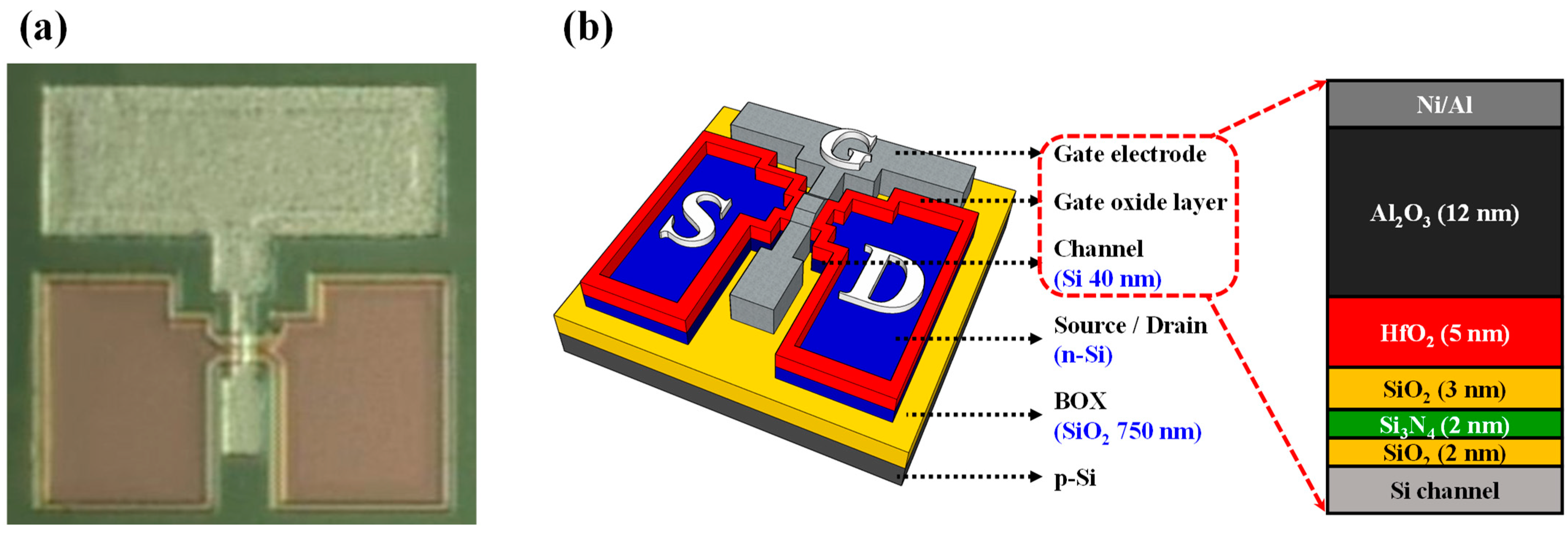 Sensors 24 01017 g001