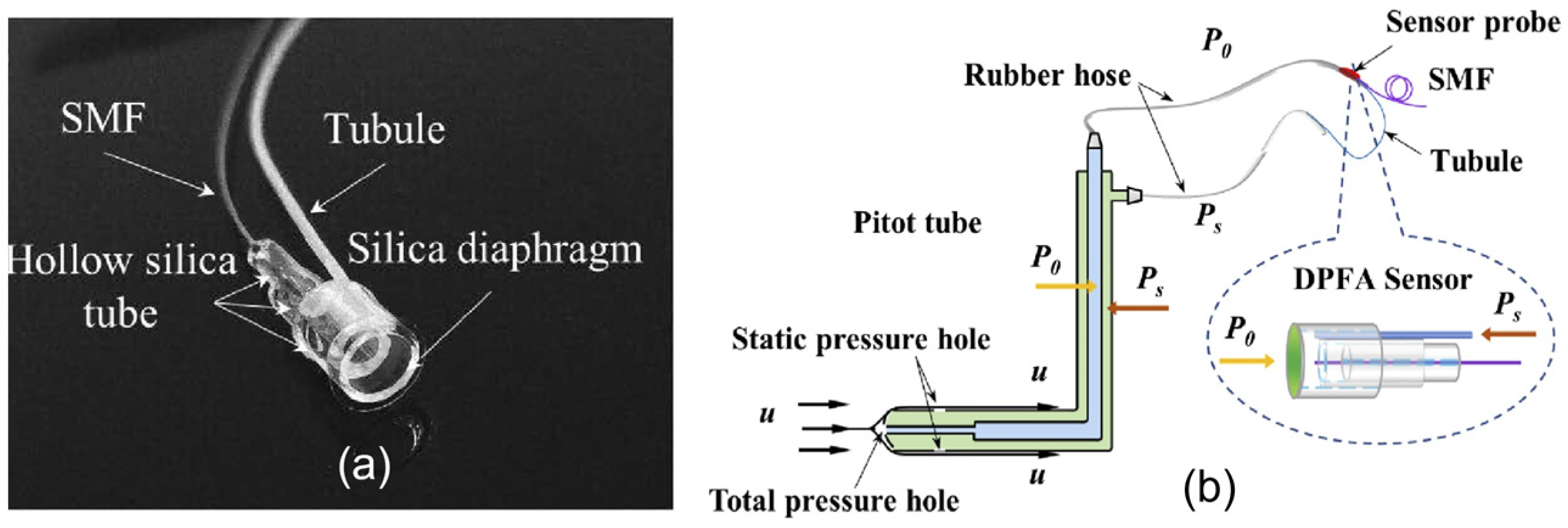 Sensors 24 01079 g007
