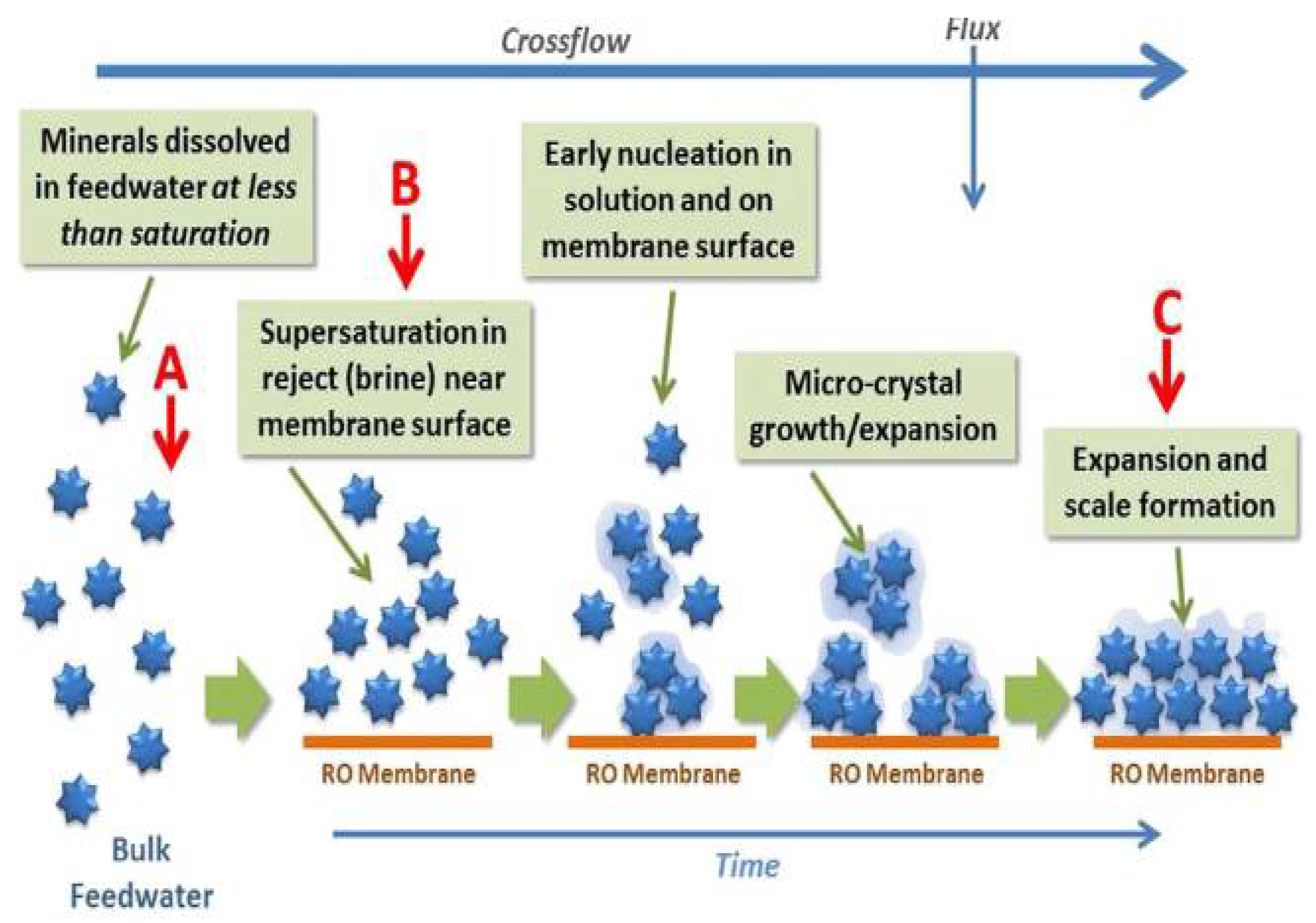Separations 09 00001 g003