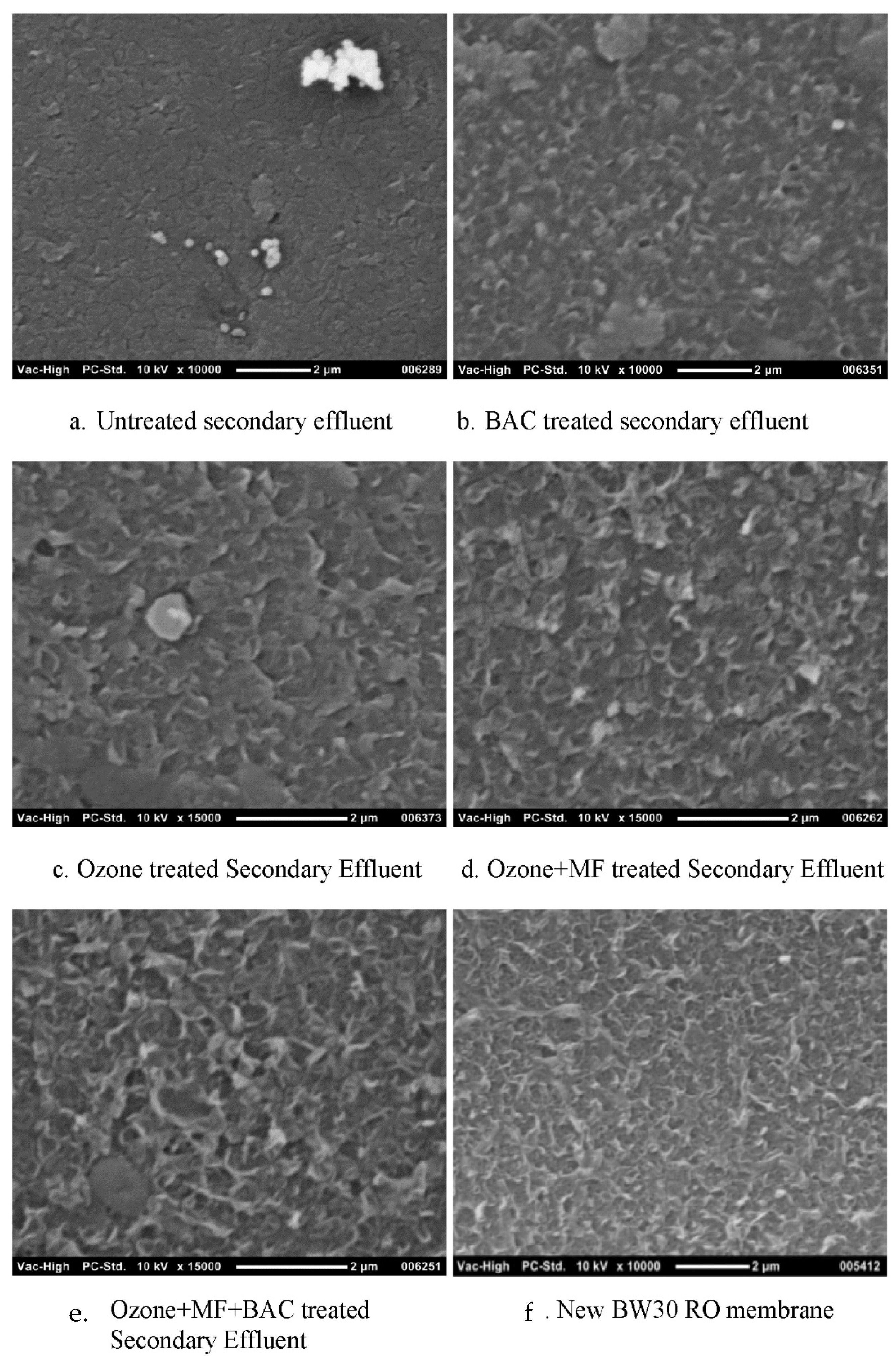 Separations 09 00001 g005
