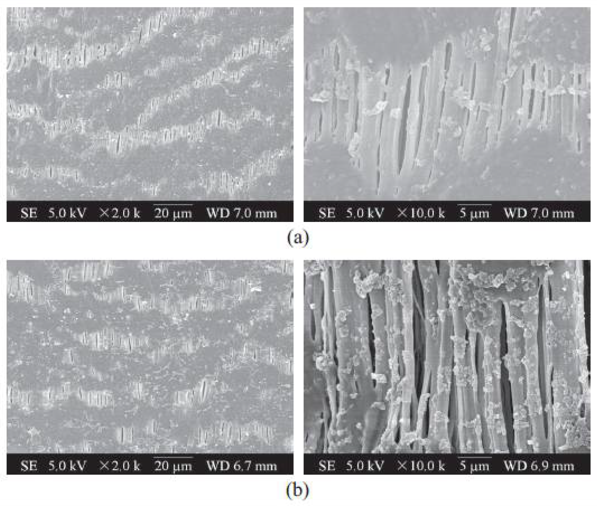 Separations 09 00001 g028a