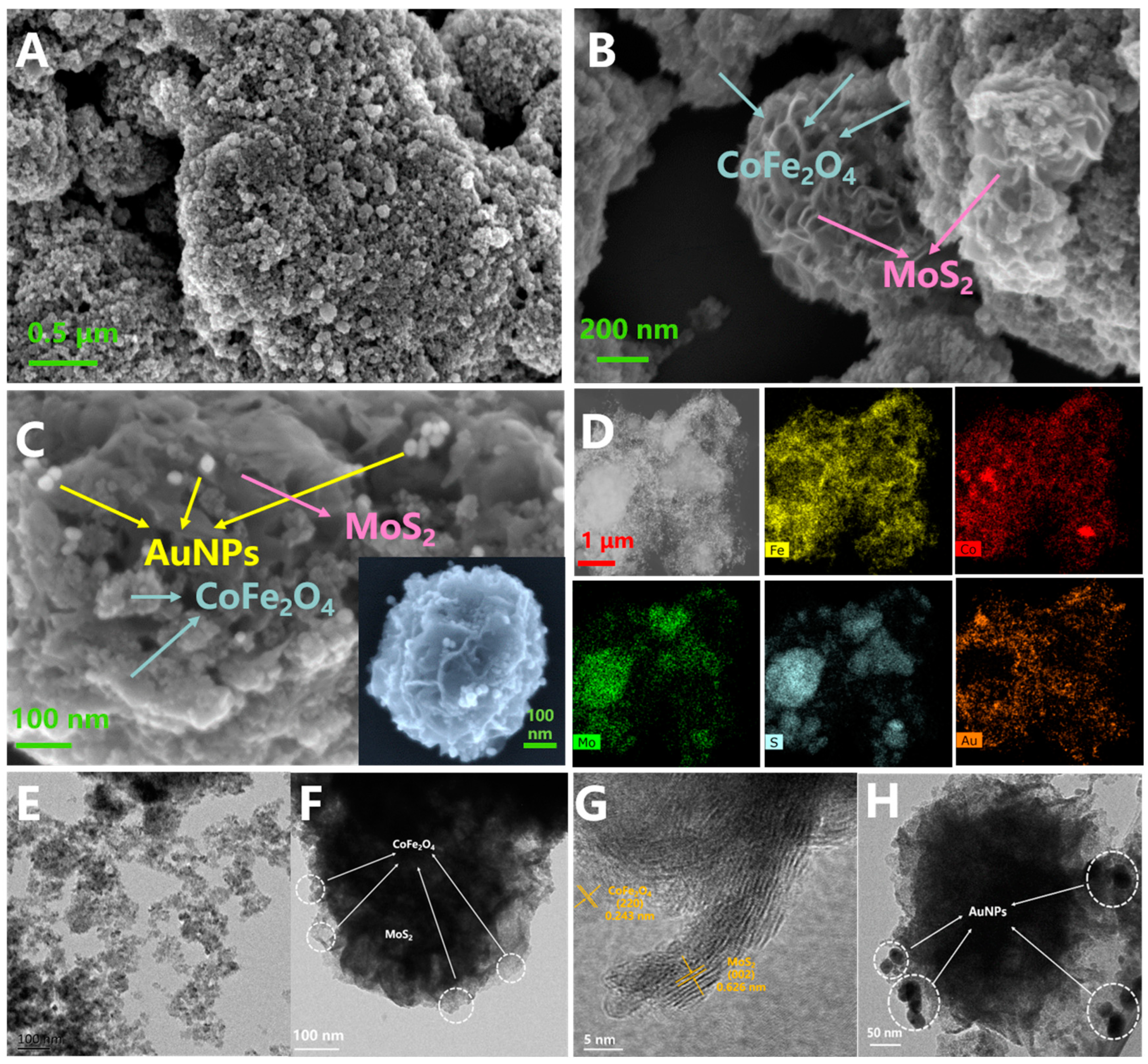 Separations 10 00526 g001