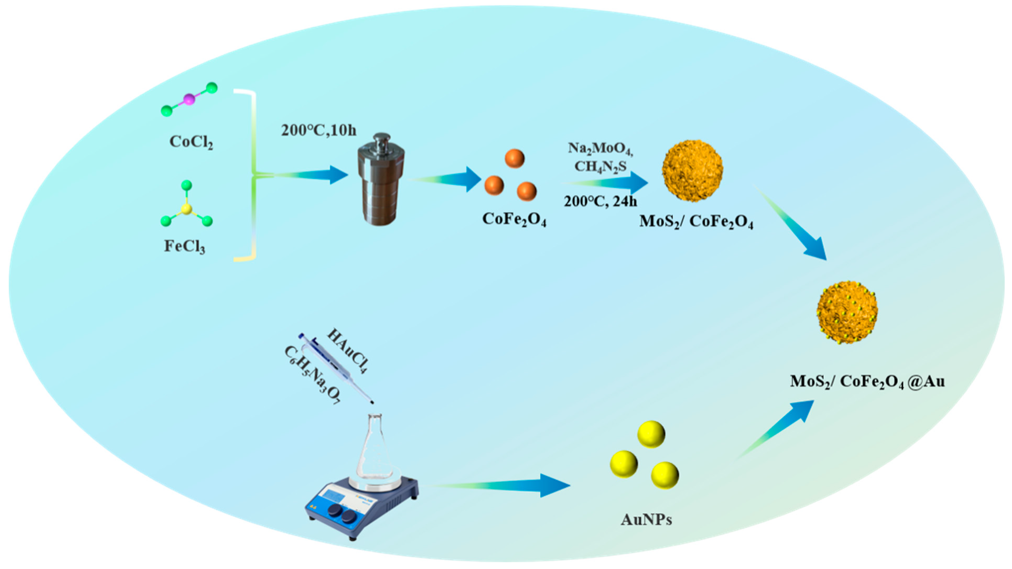 Separations 10 00526 sch001