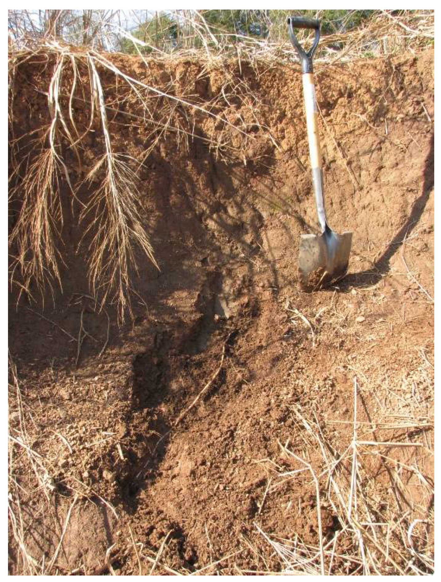 Soilsystems 02 00025 g001