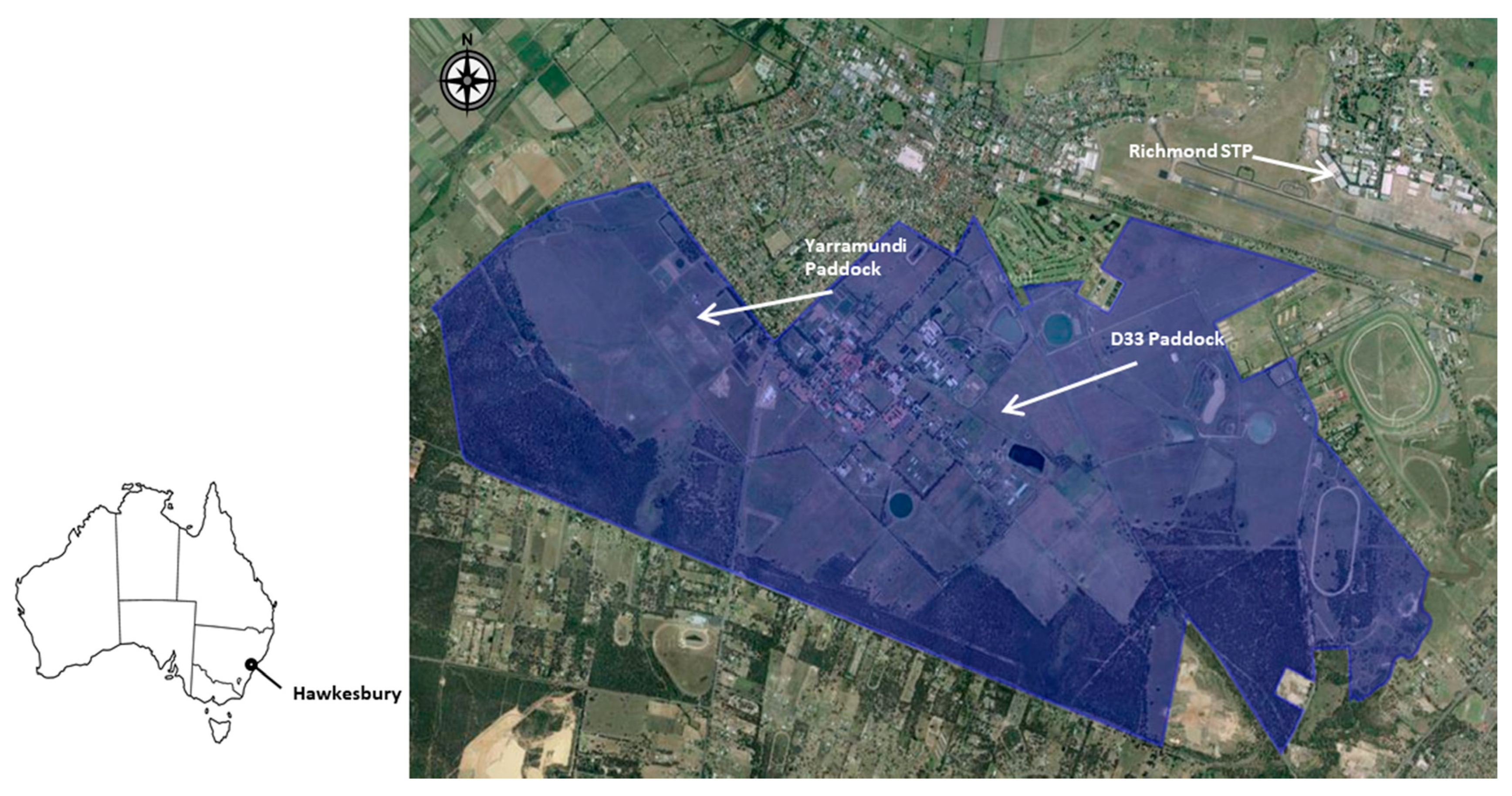 Soilsystems 06 00013 g001