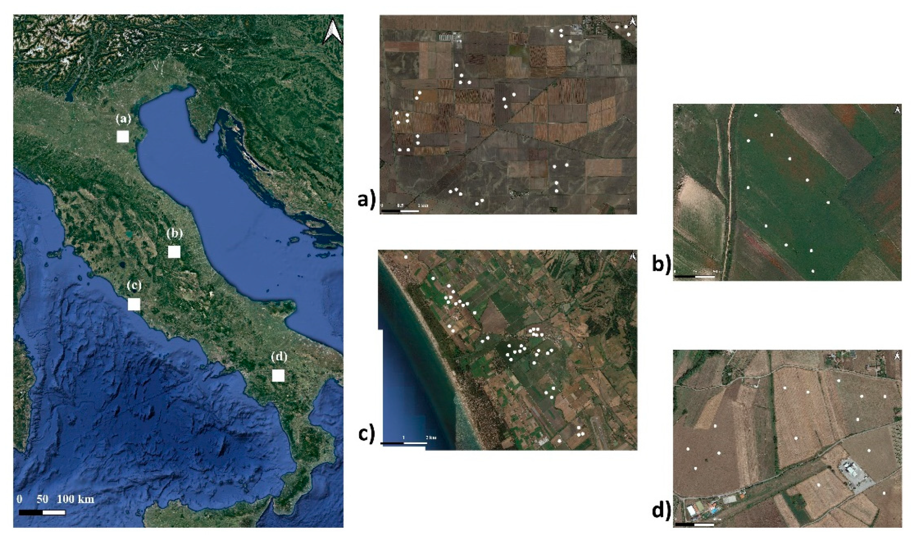 Soilsystems 06 00066 g001