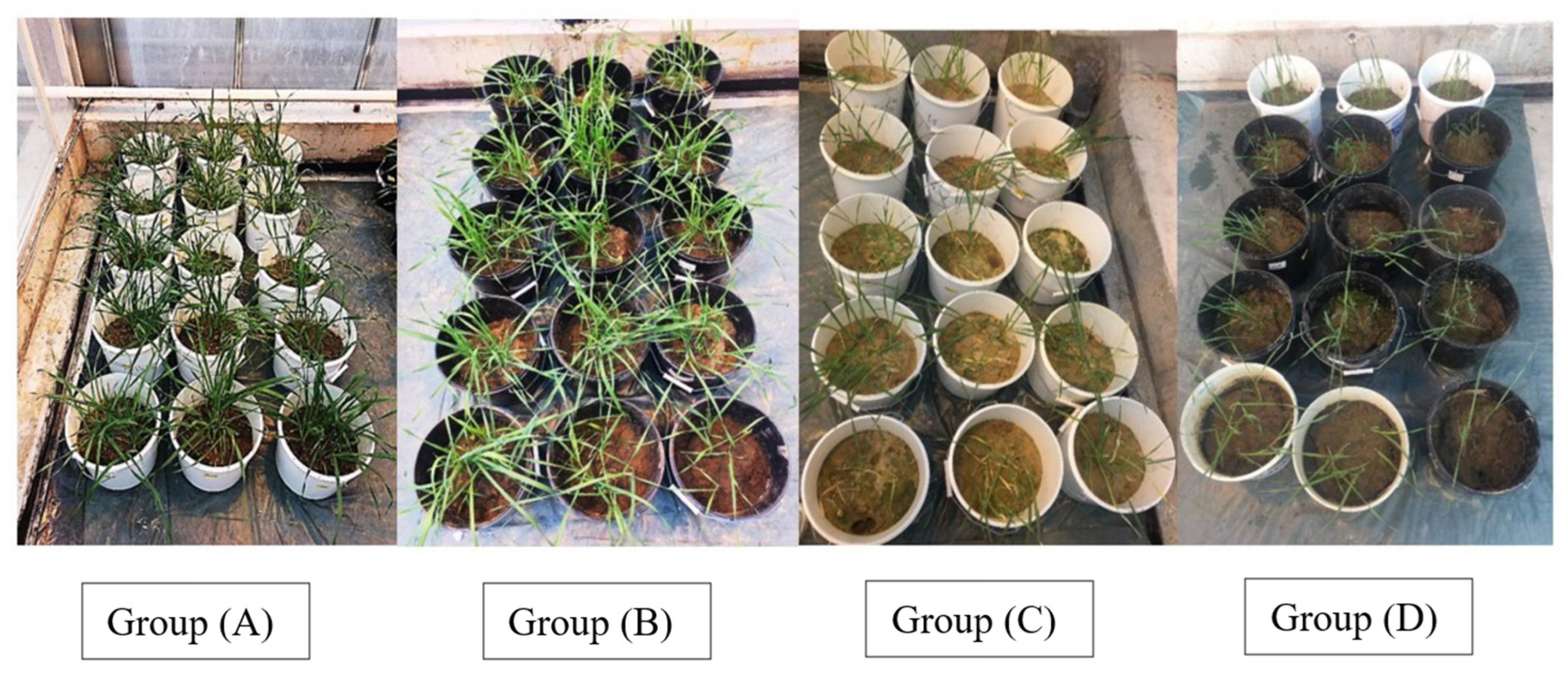 Soilsystems 07 00102 g005